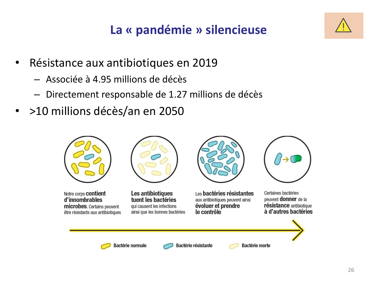 Les bactéries — diapositives page 26