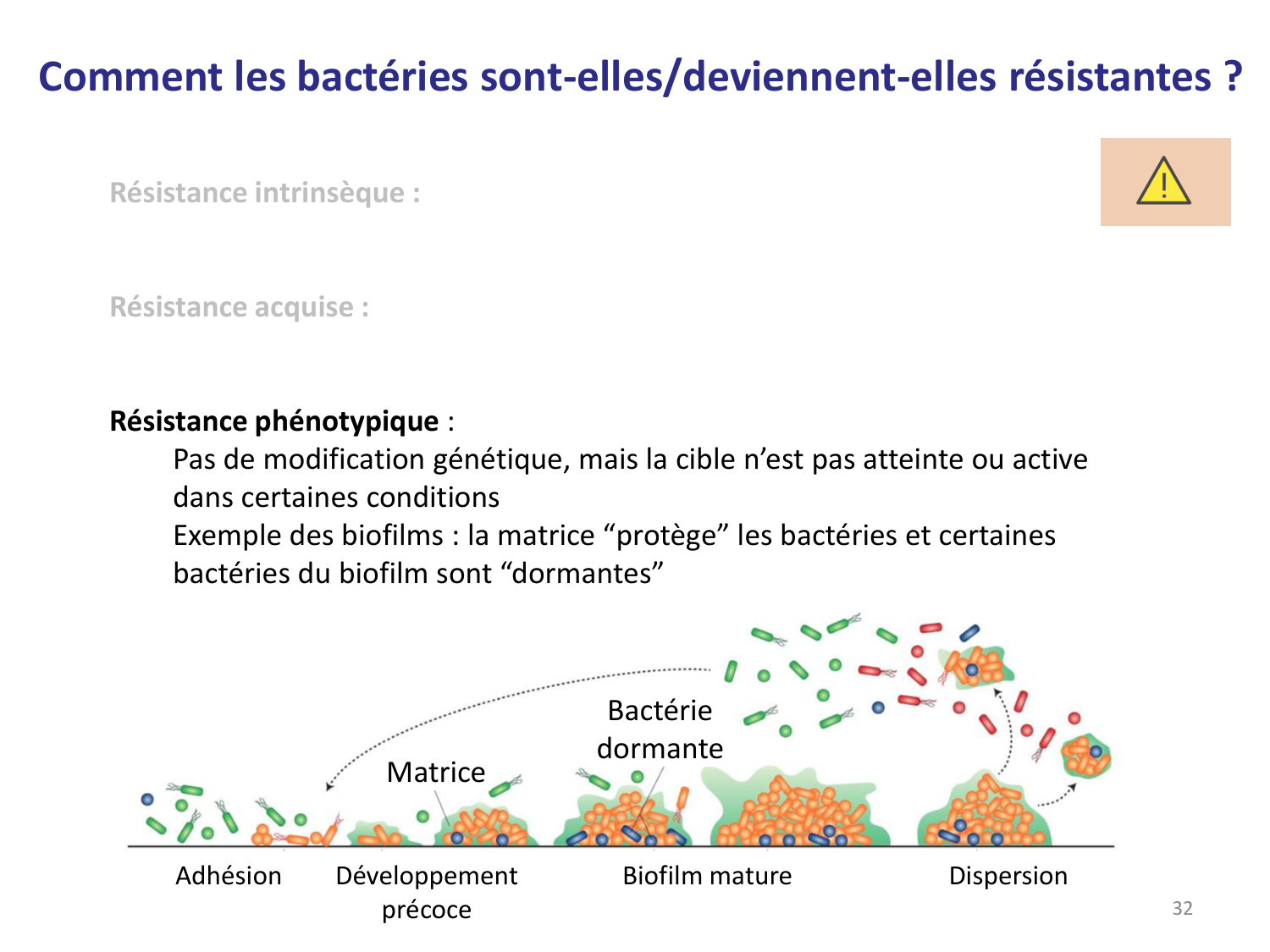 Les bactéries — diapositives page 32