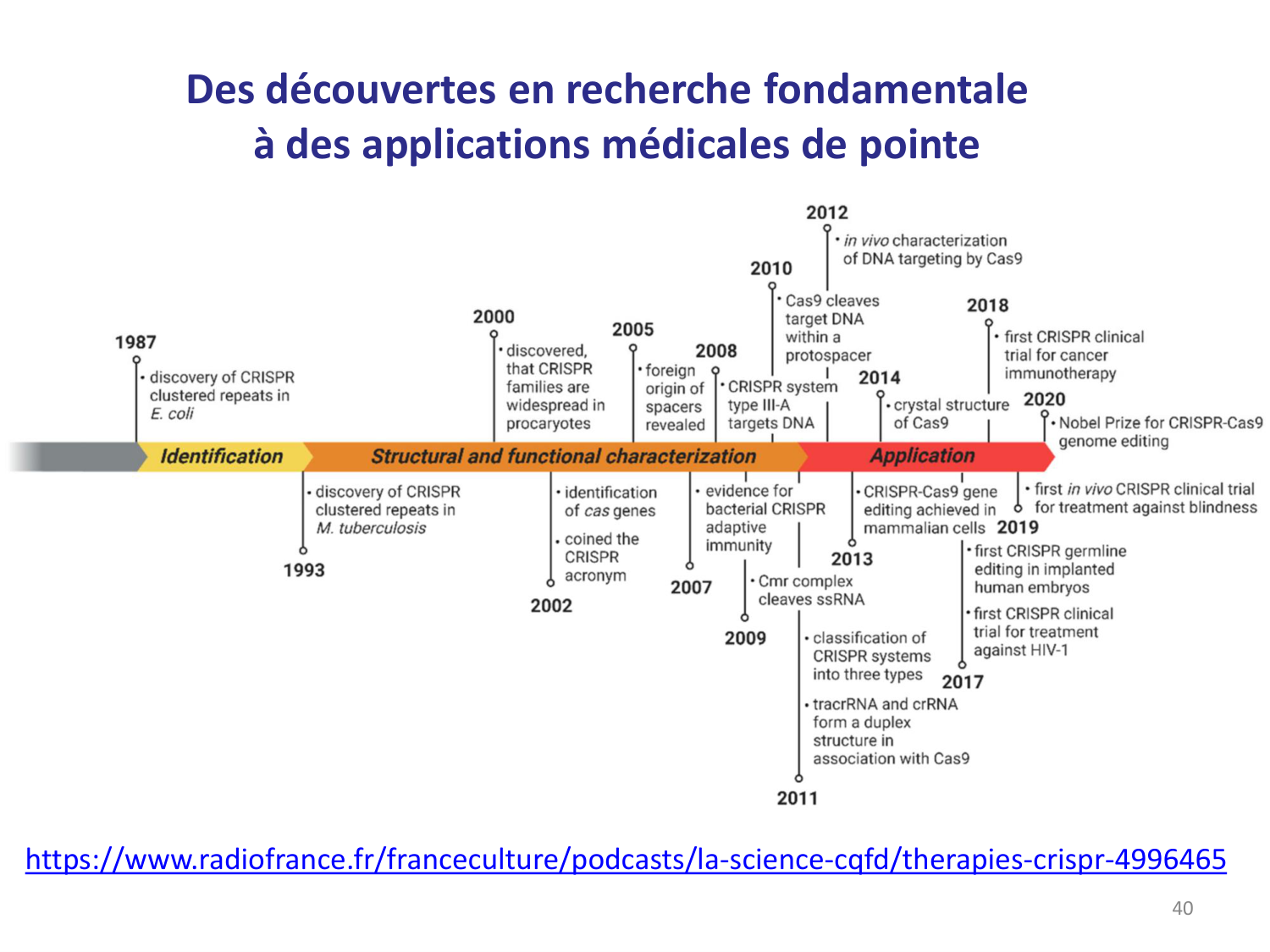 Les bactéries — diapositives page 40