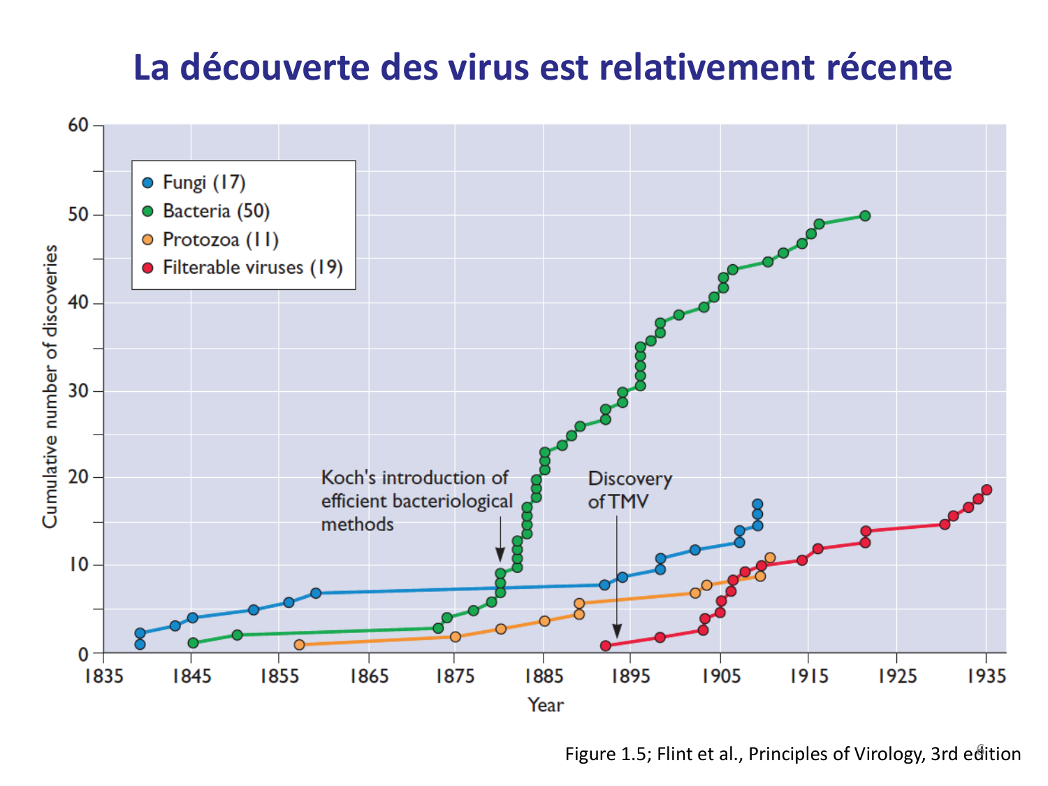 Les virus — diapositives page 6