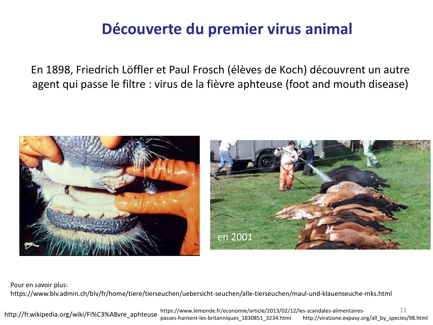 Les virus — diapositives page 11