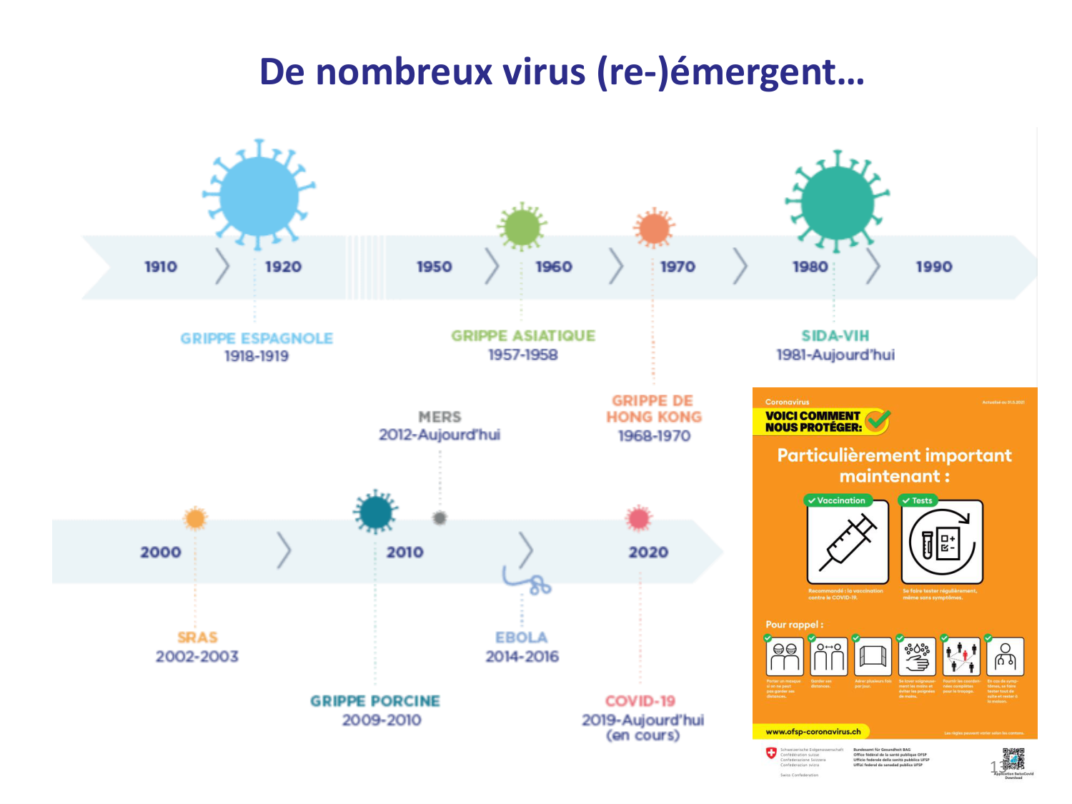 Les virus — diapositives page 13