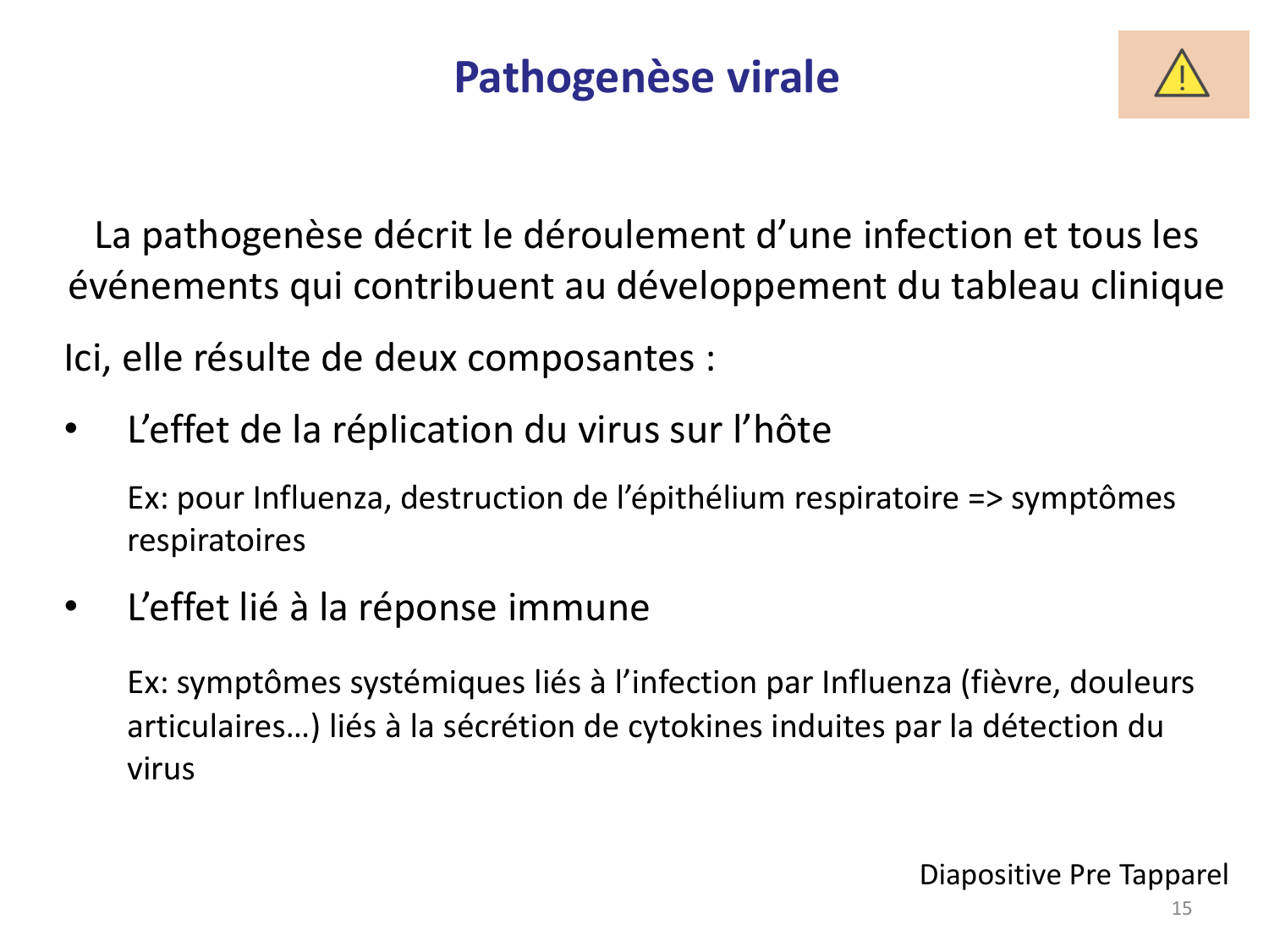 Les virus — diapositives page 15