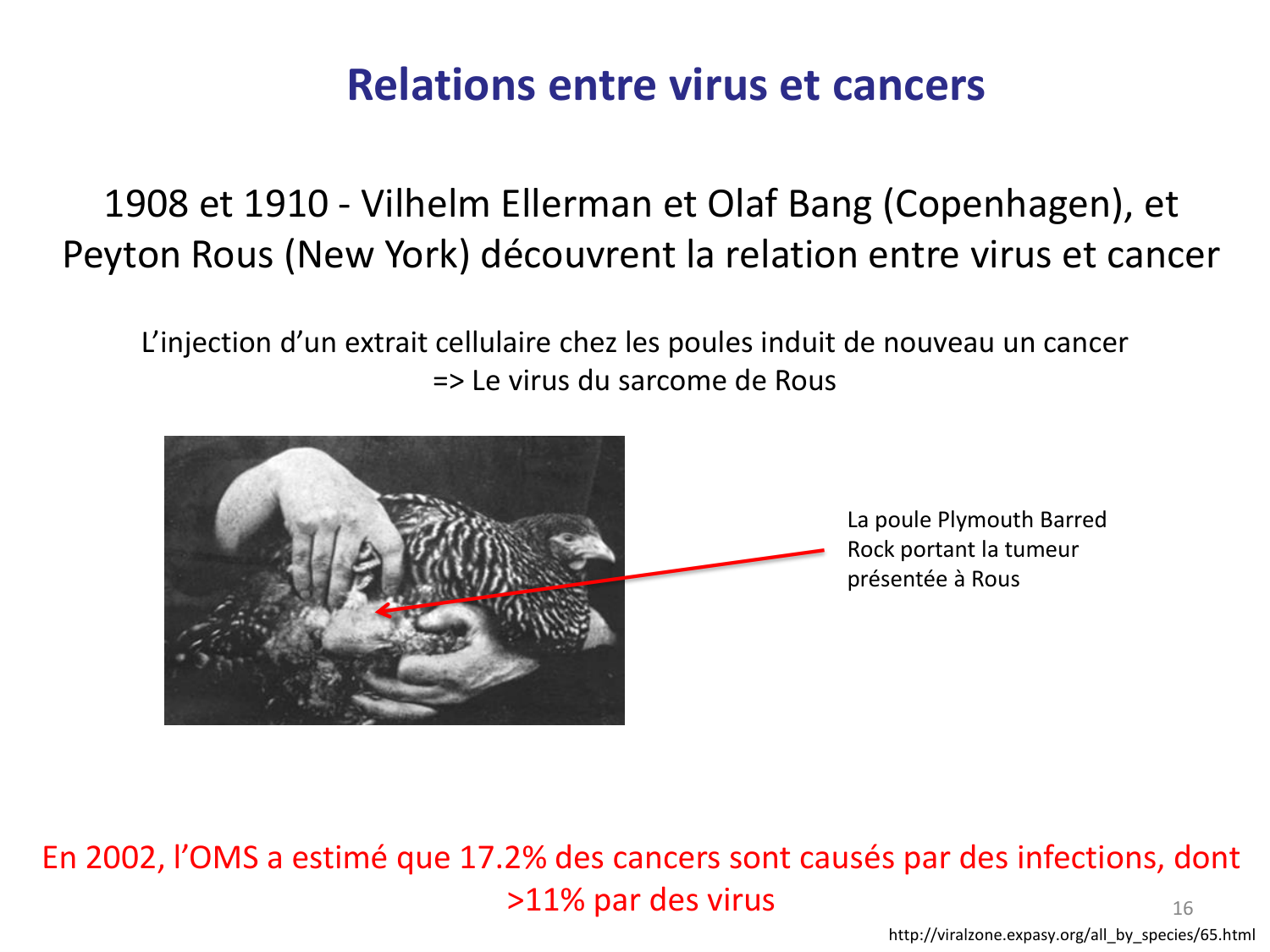 Les virus — diapositives page 16