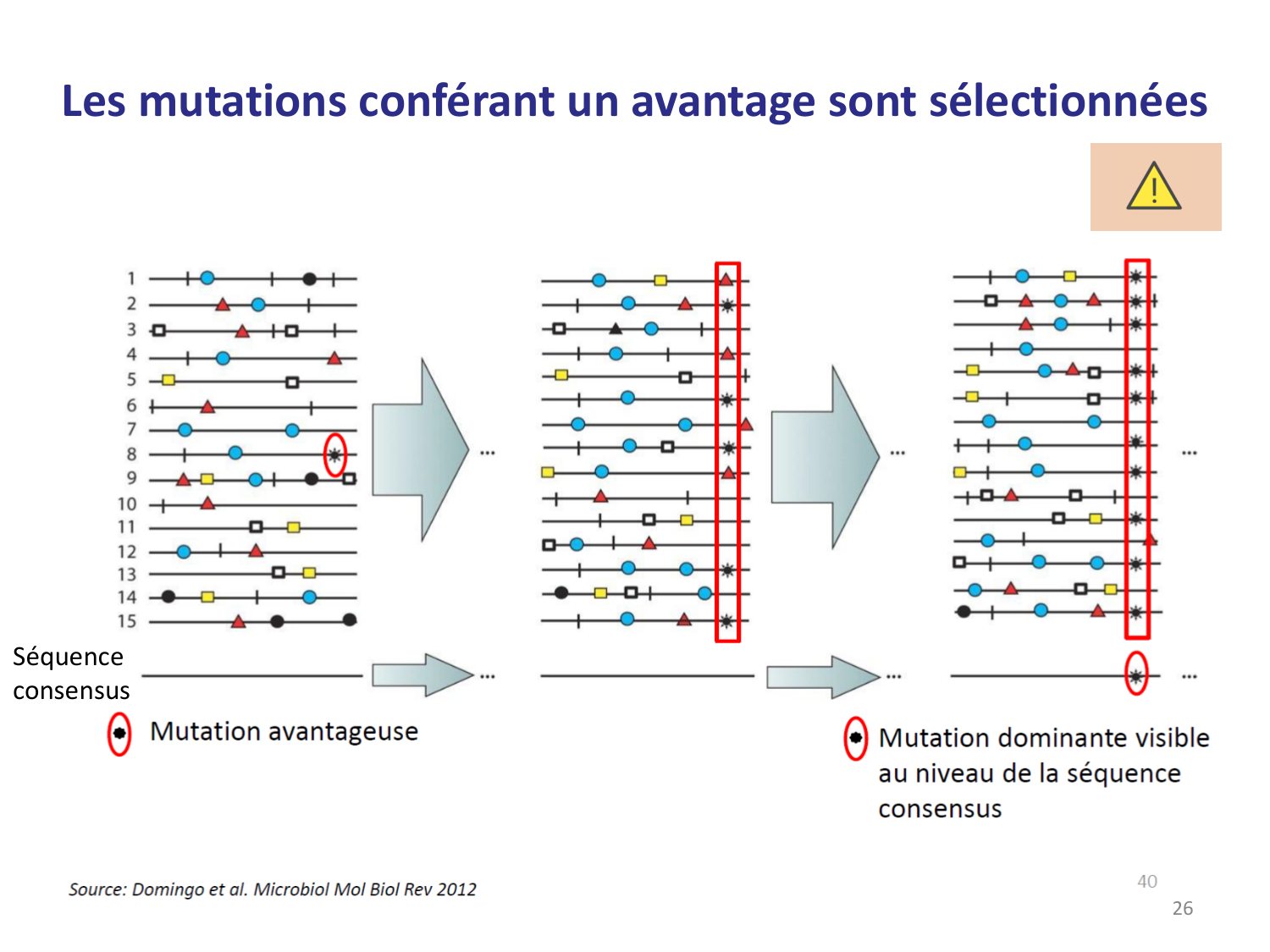 Les virus — diapositives page 26