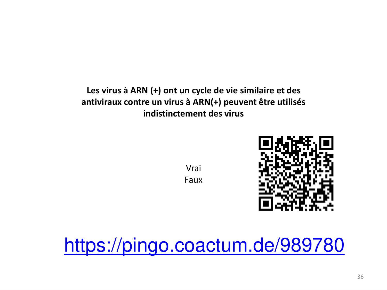 Les virus — diapositives page 36