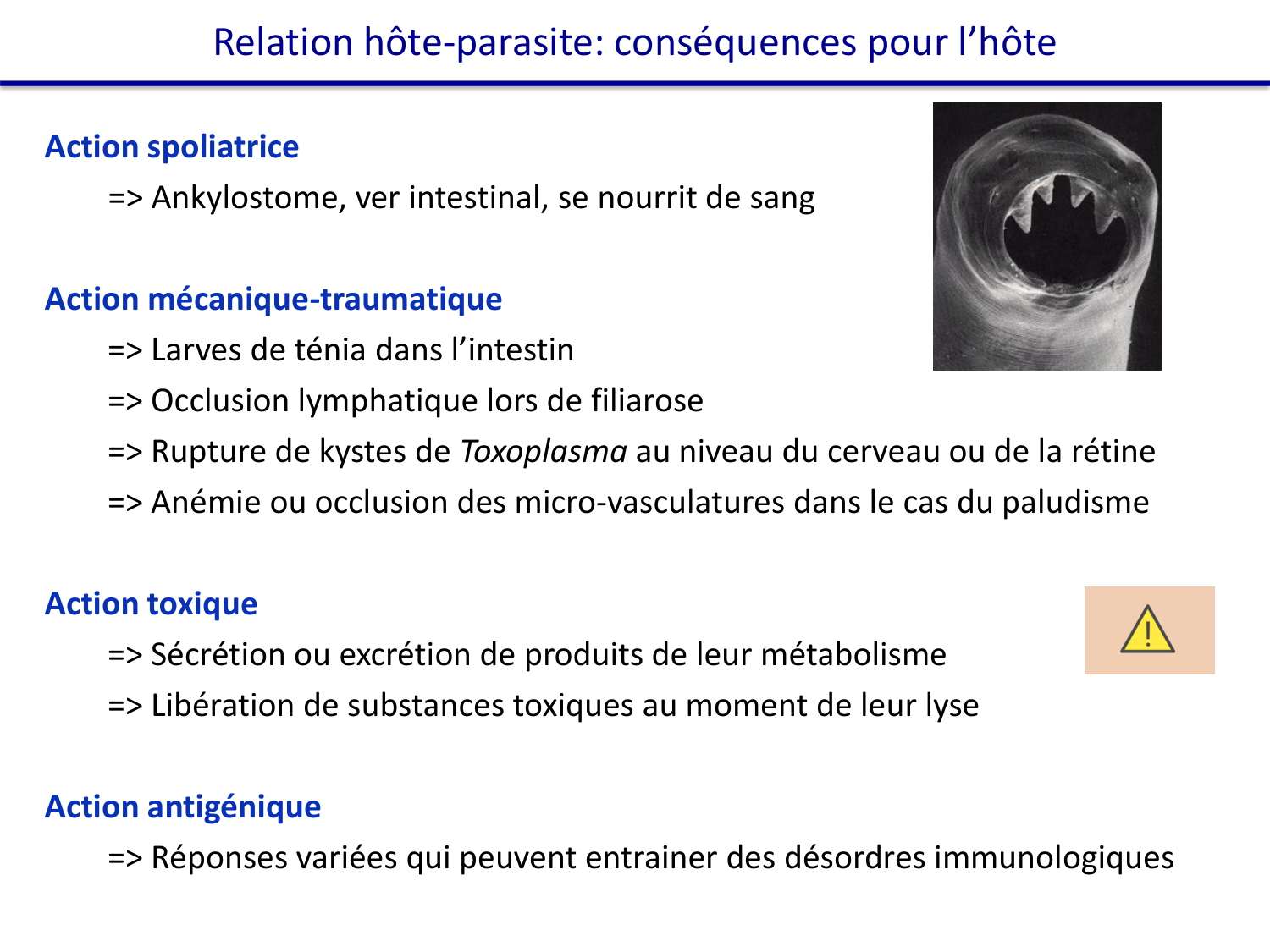 Les parasites — diapositives page 7