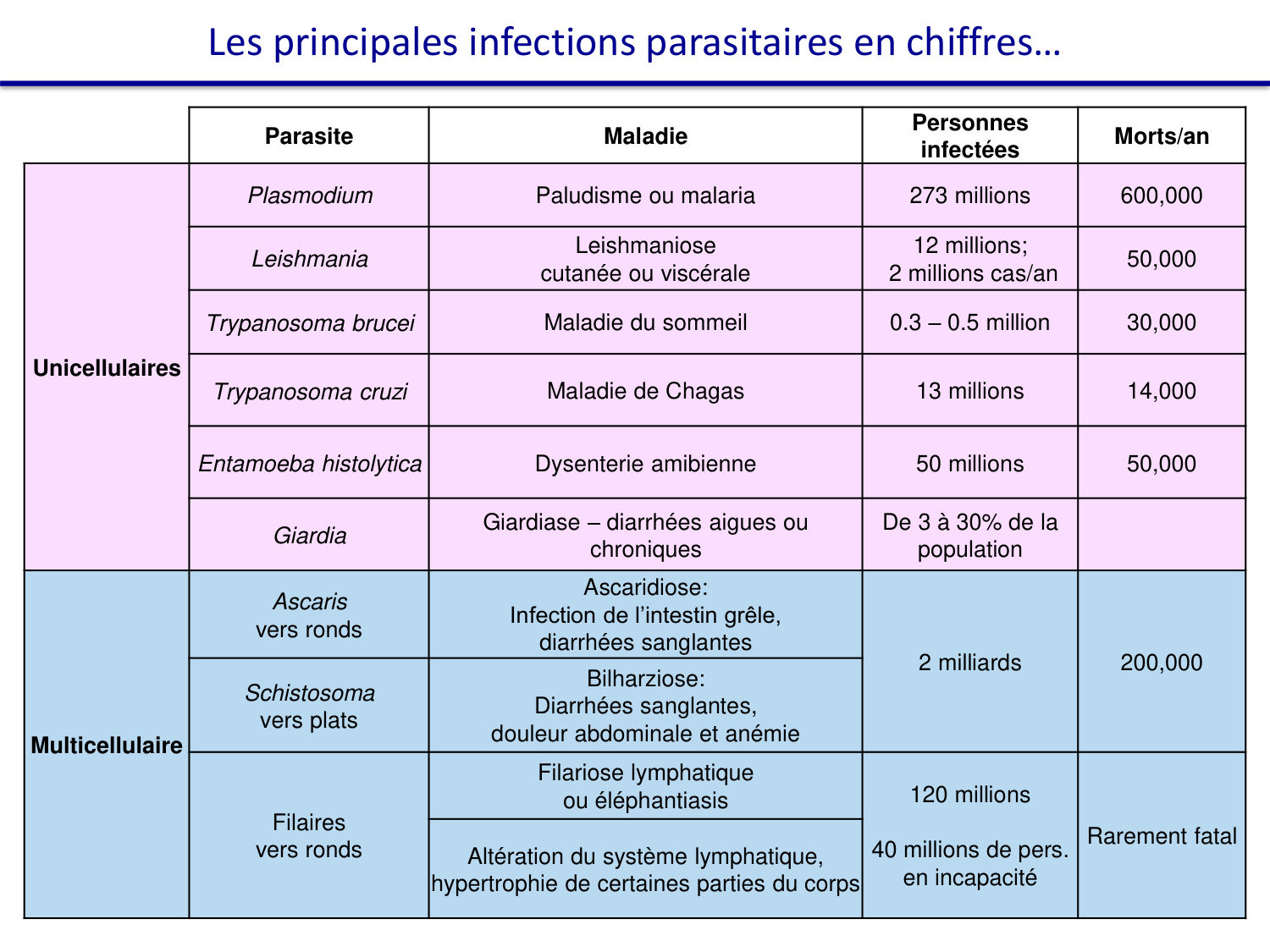Les parasites — diapositives page 14