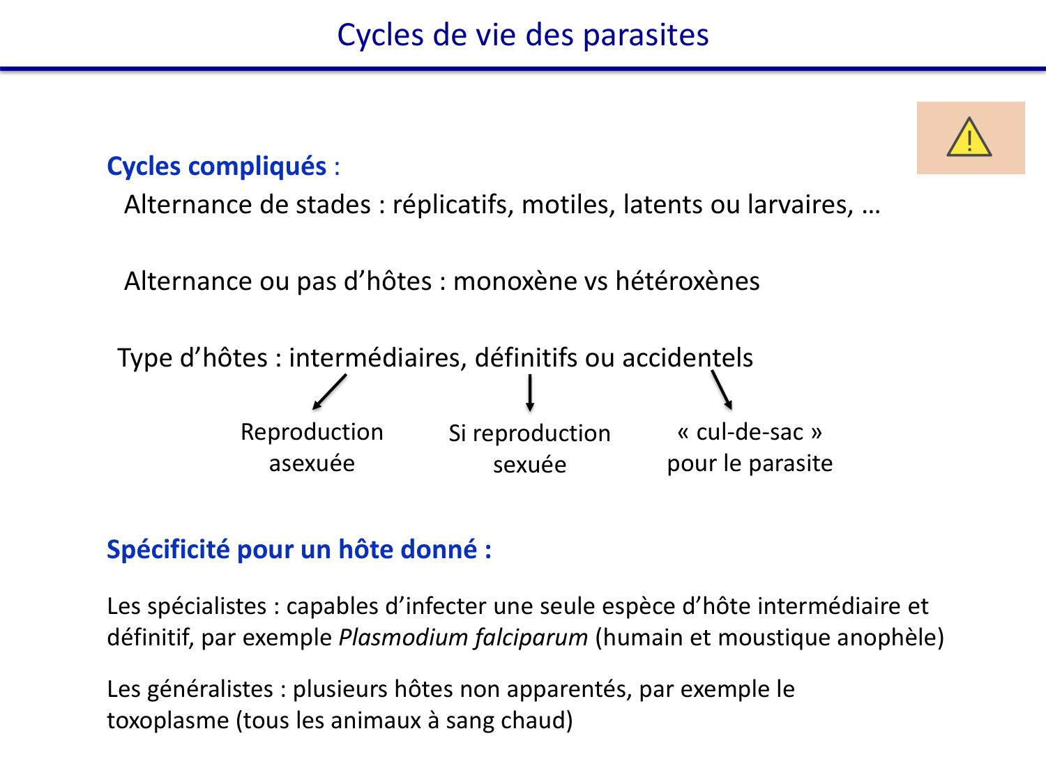 Les parasites — diapositives page 17
