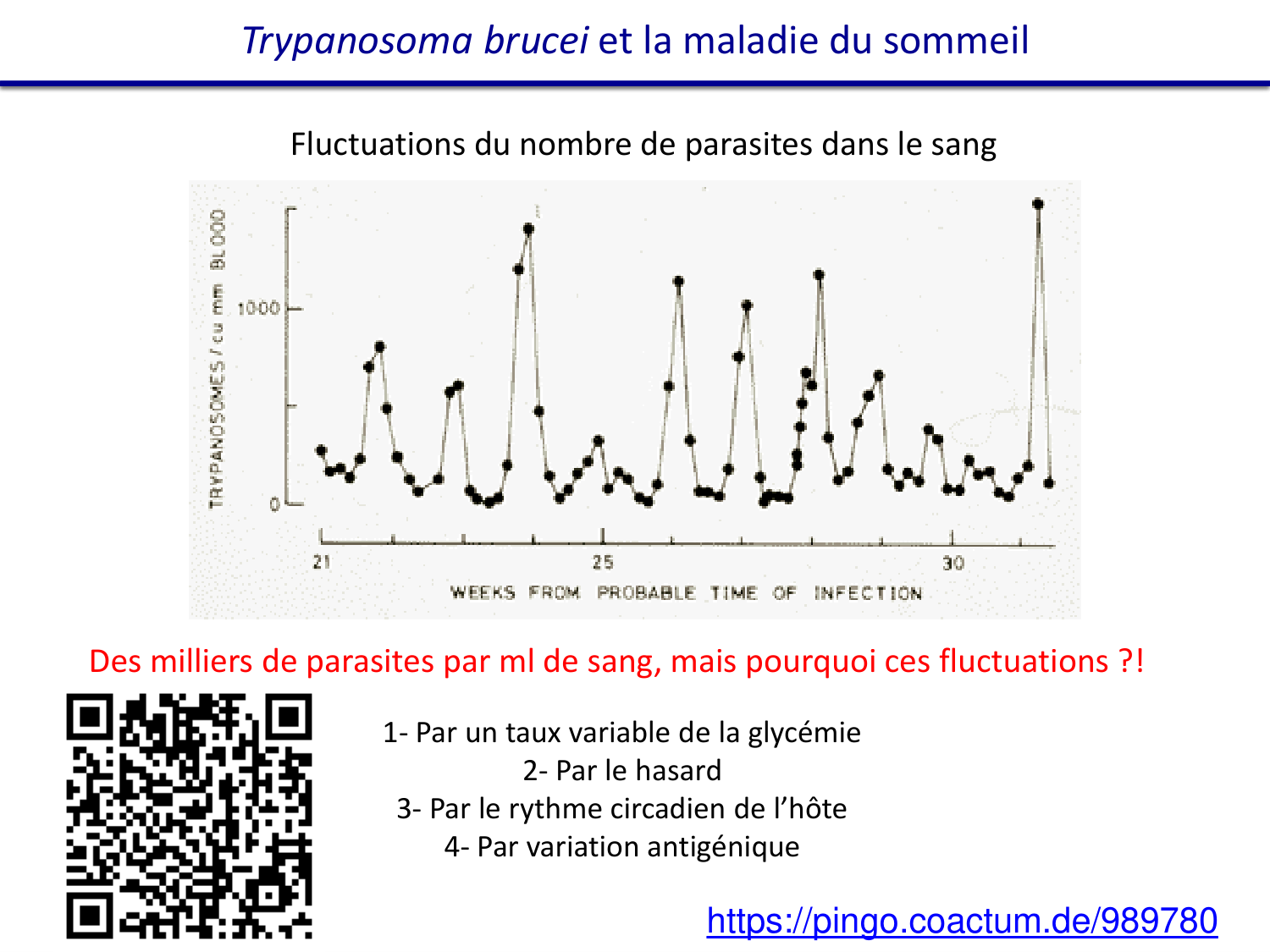Les parasites — diapositives page 24