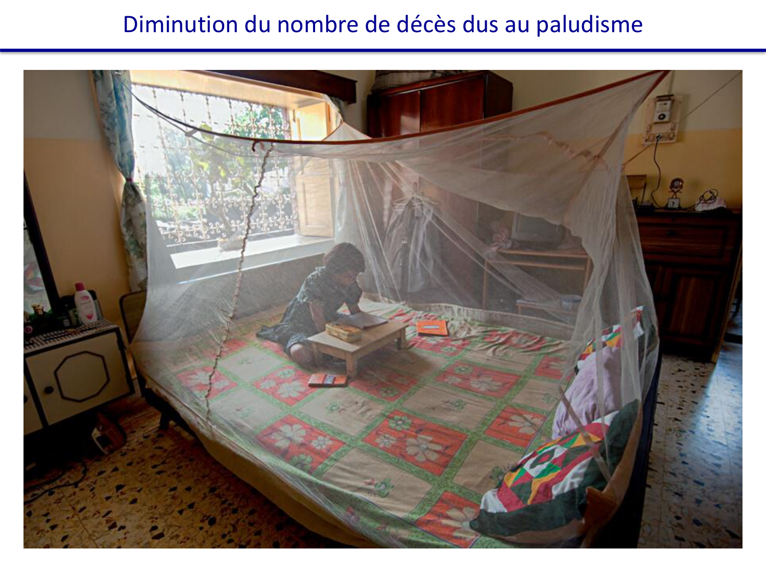 Les parasites — diapositives page 38