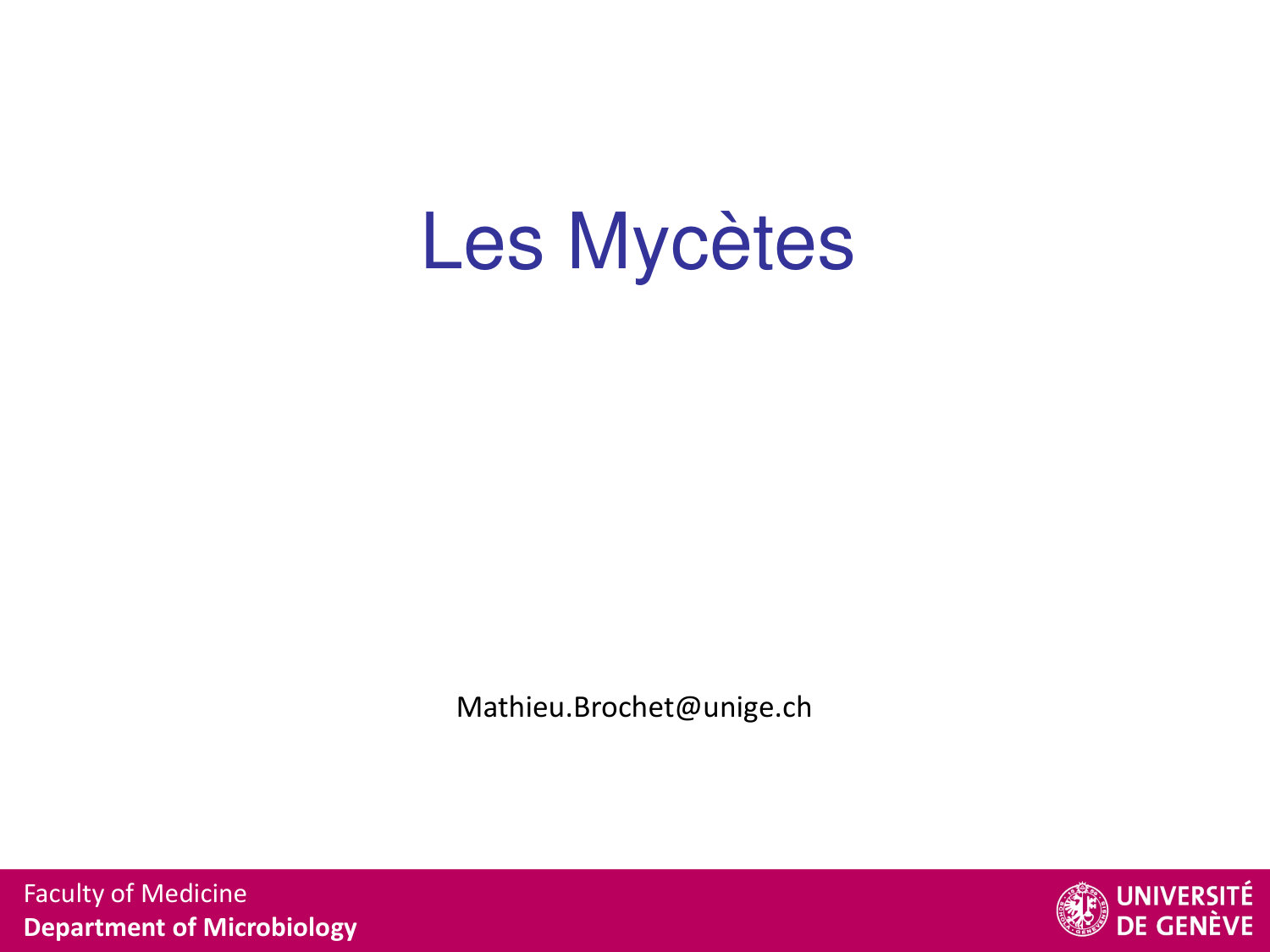 Les champignons — diapositives page 1