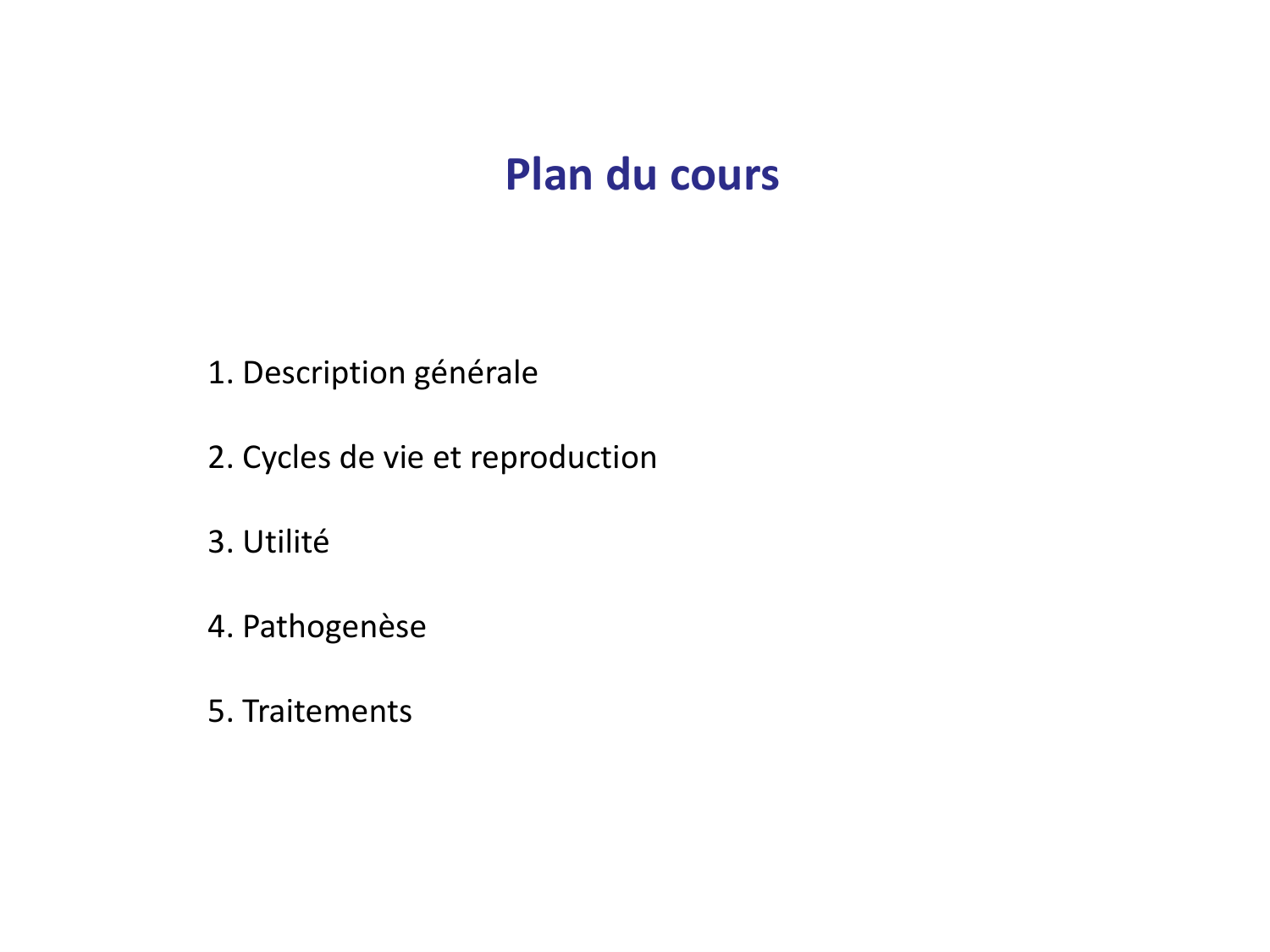Les champignons — diapositives page 2