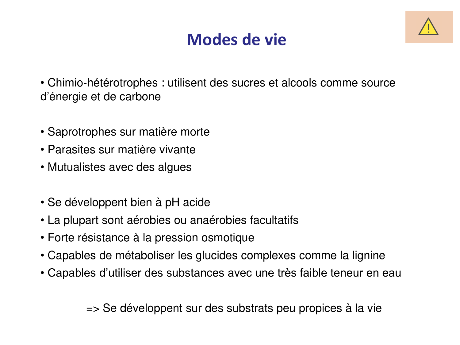 Les champignons — diapositives page 13