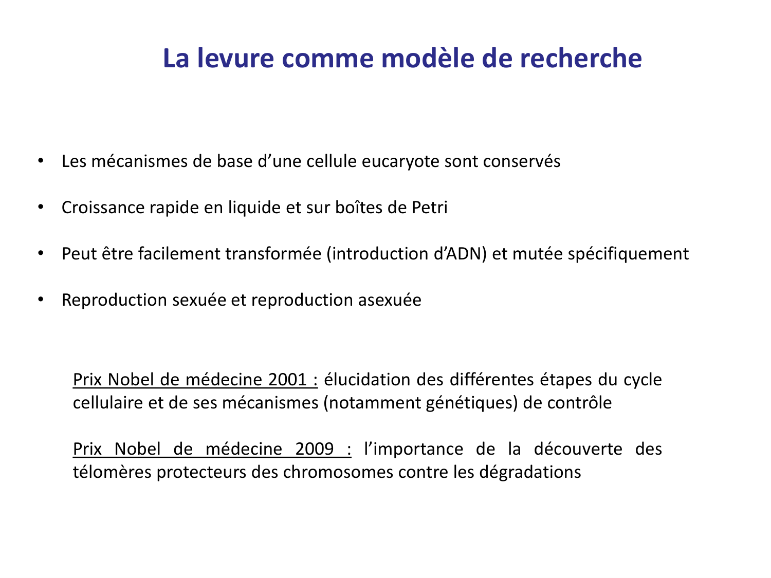 Les champignons — diapositives page 21