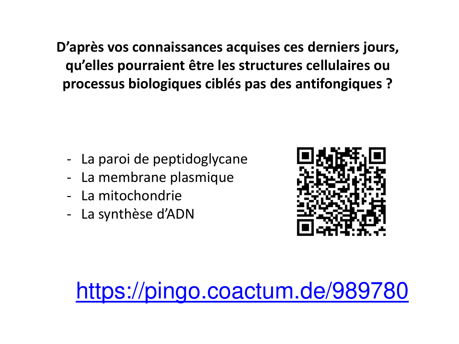 Les champignons — diapositives page 31