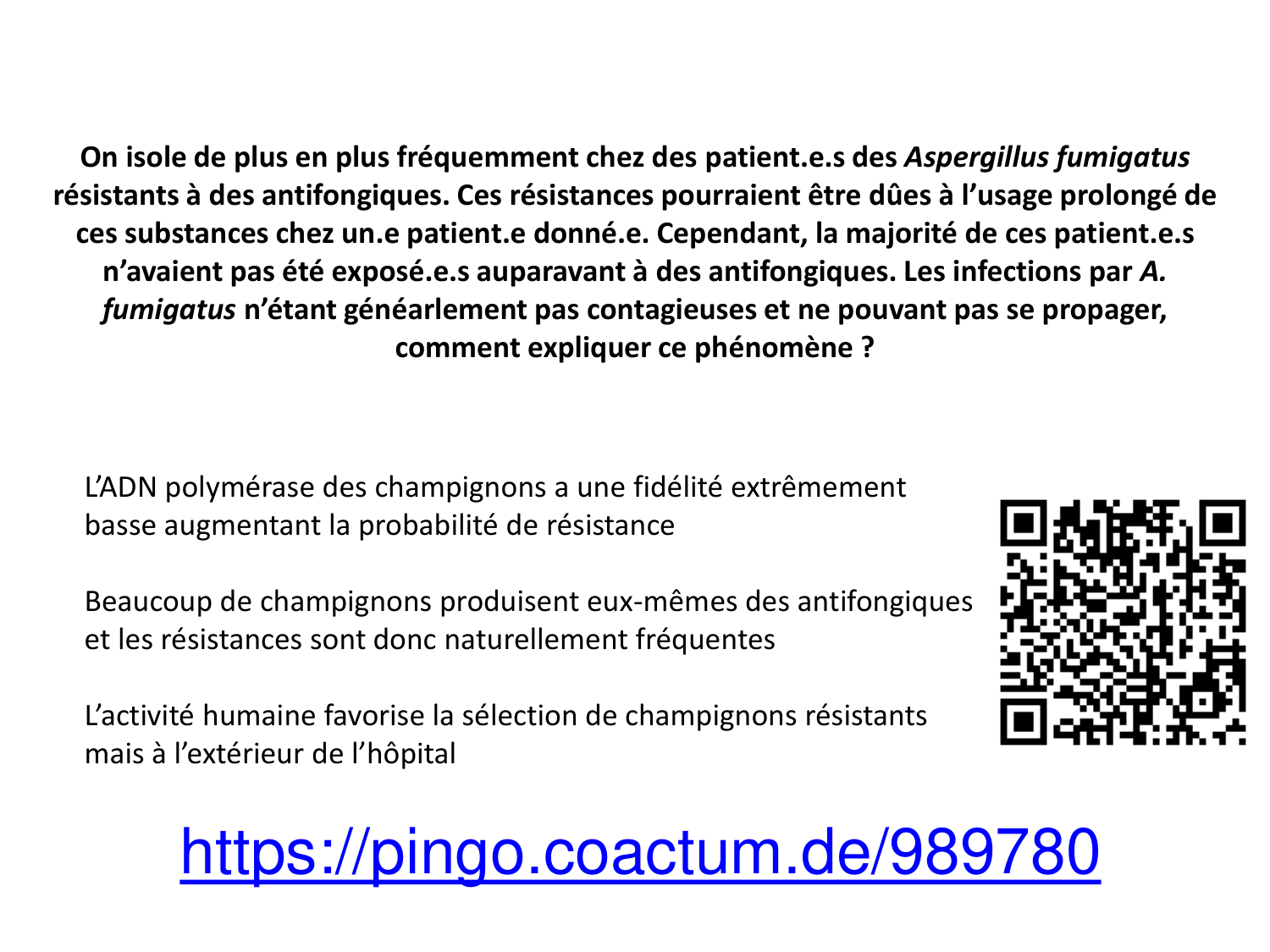 Les champignons — diapositives page 33