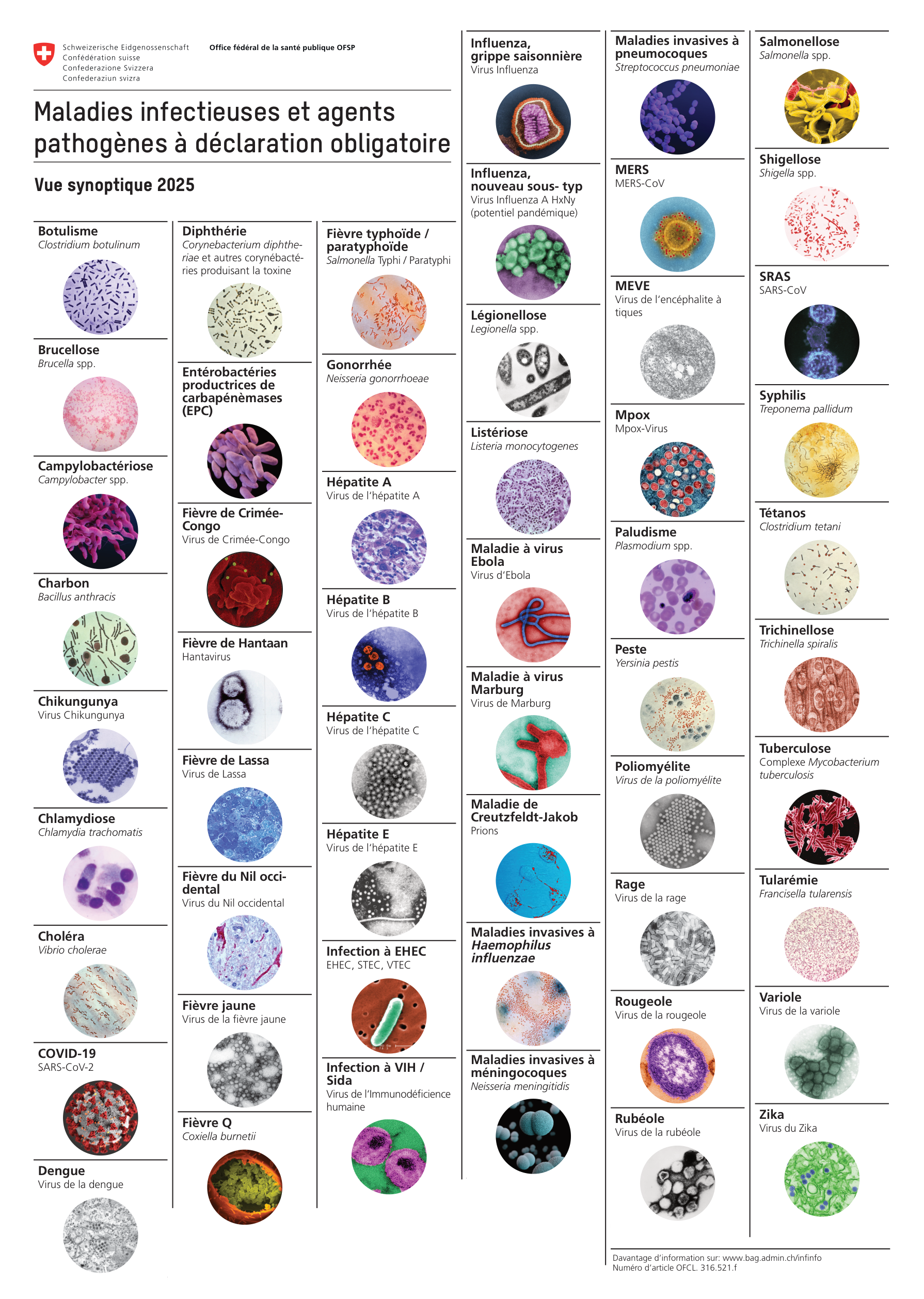 Maladies à déclaration obligatoire page 1
