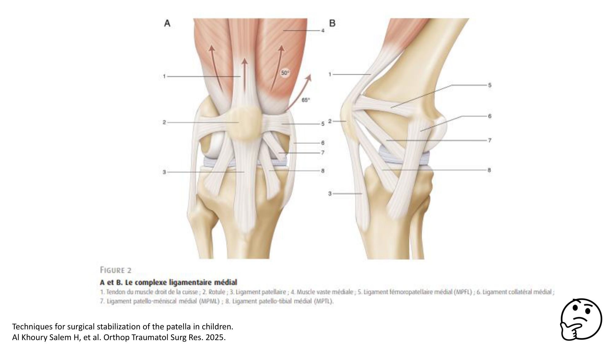 1 BA MI genou 2025-26 page 12