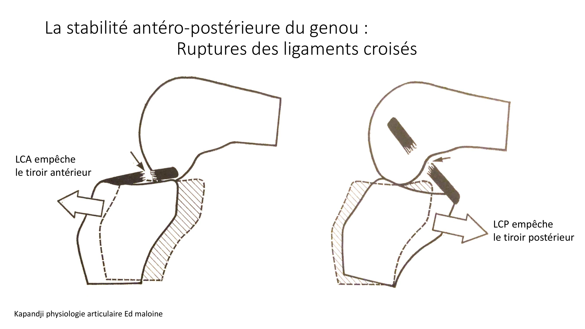 1 BA MI genou 2025-26 page 17