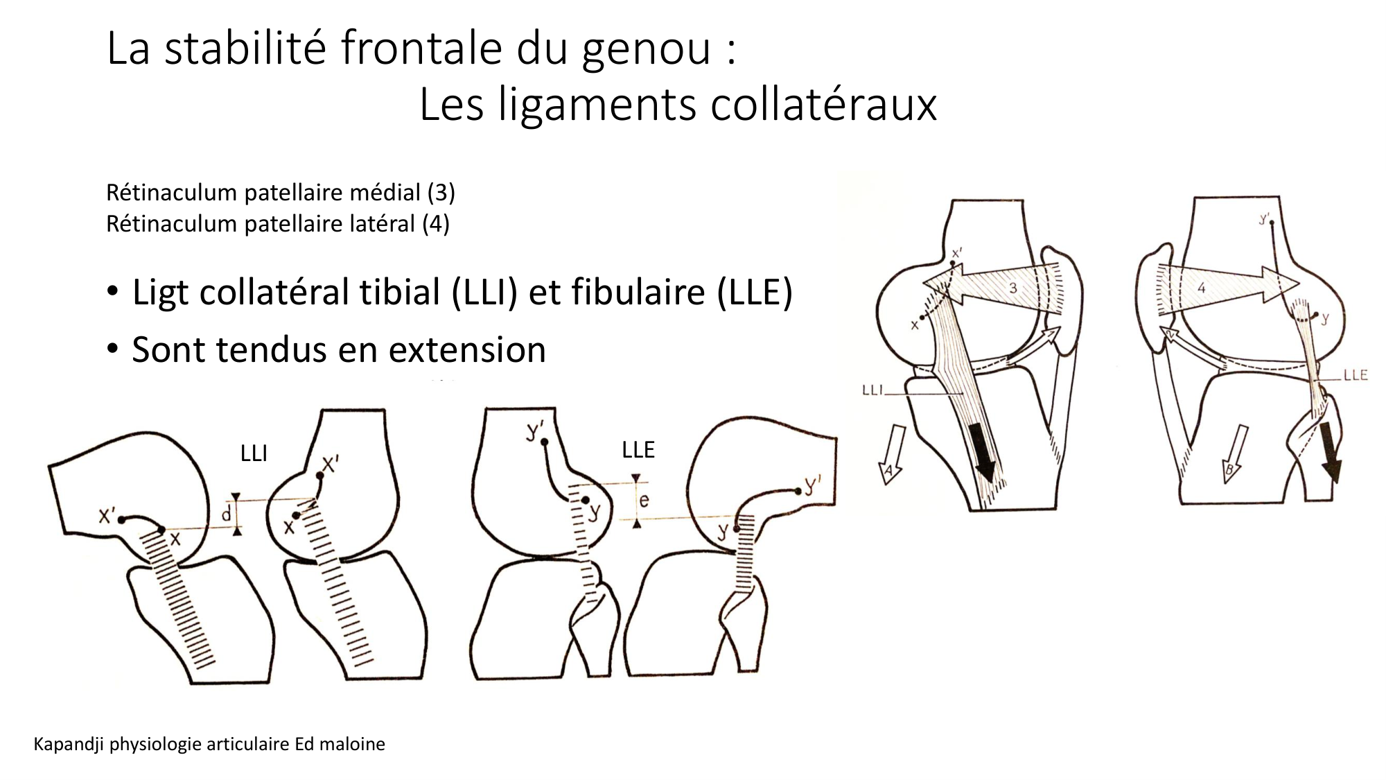 1 BA MI genou 2025-26 page 18