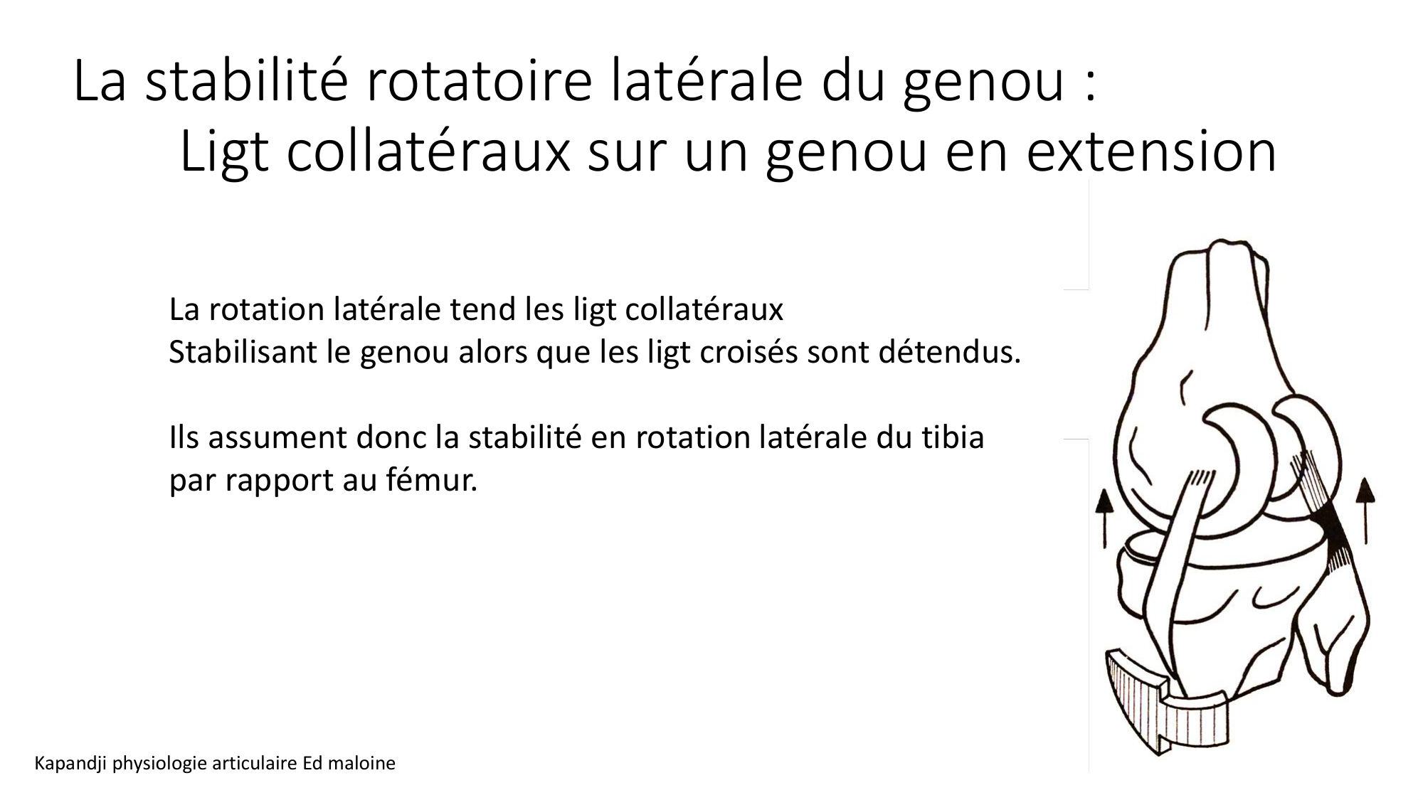 1 BA MI genou 2025-26 page 20