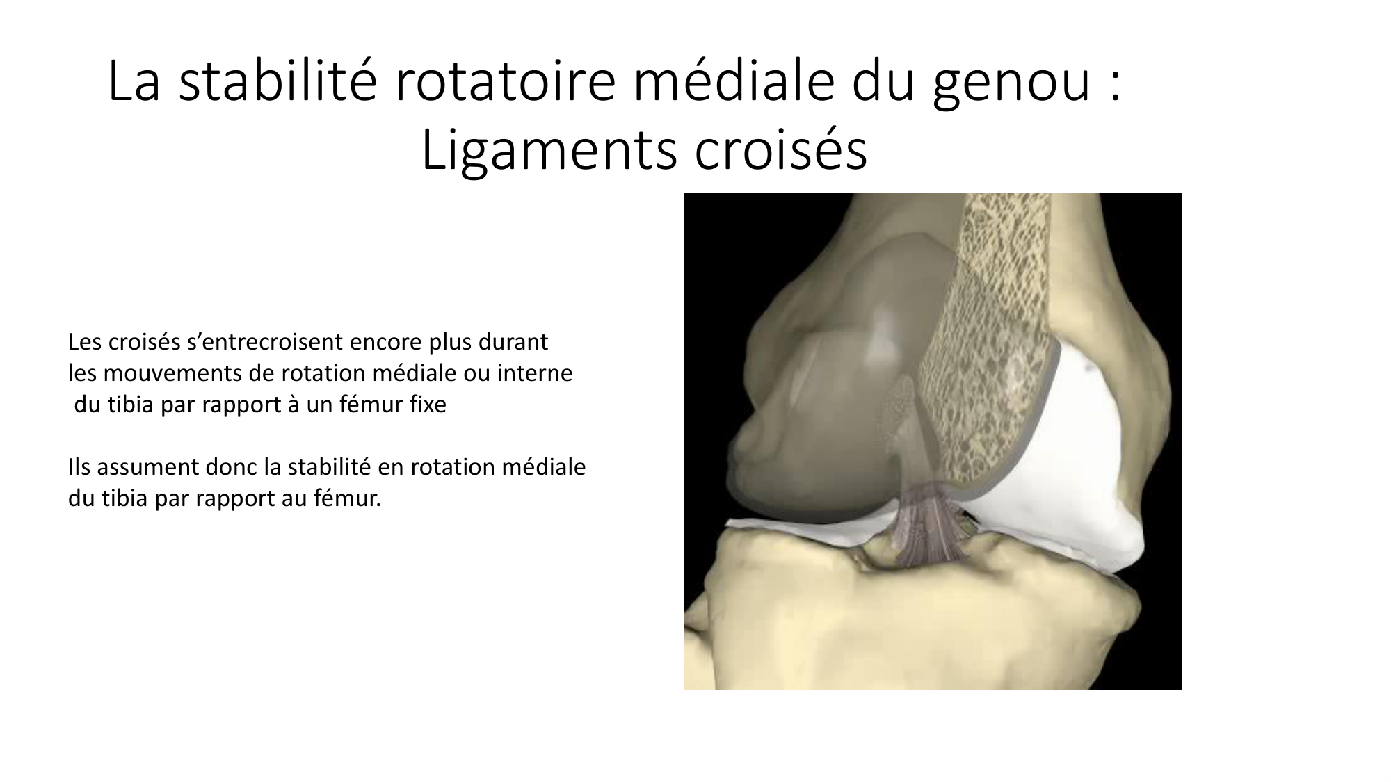 1 BA MI genou 2025-26 page 21