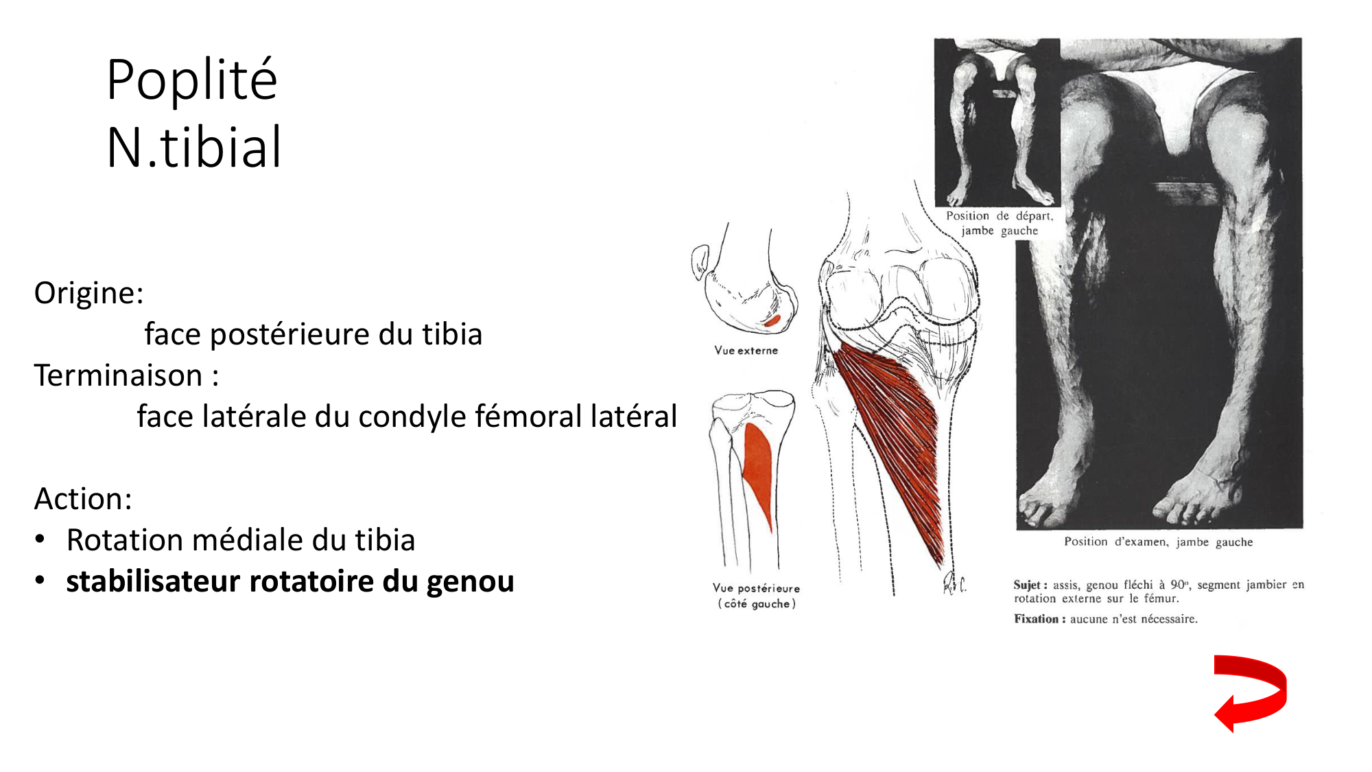 1 BA MI genou 2025-26 page 22
