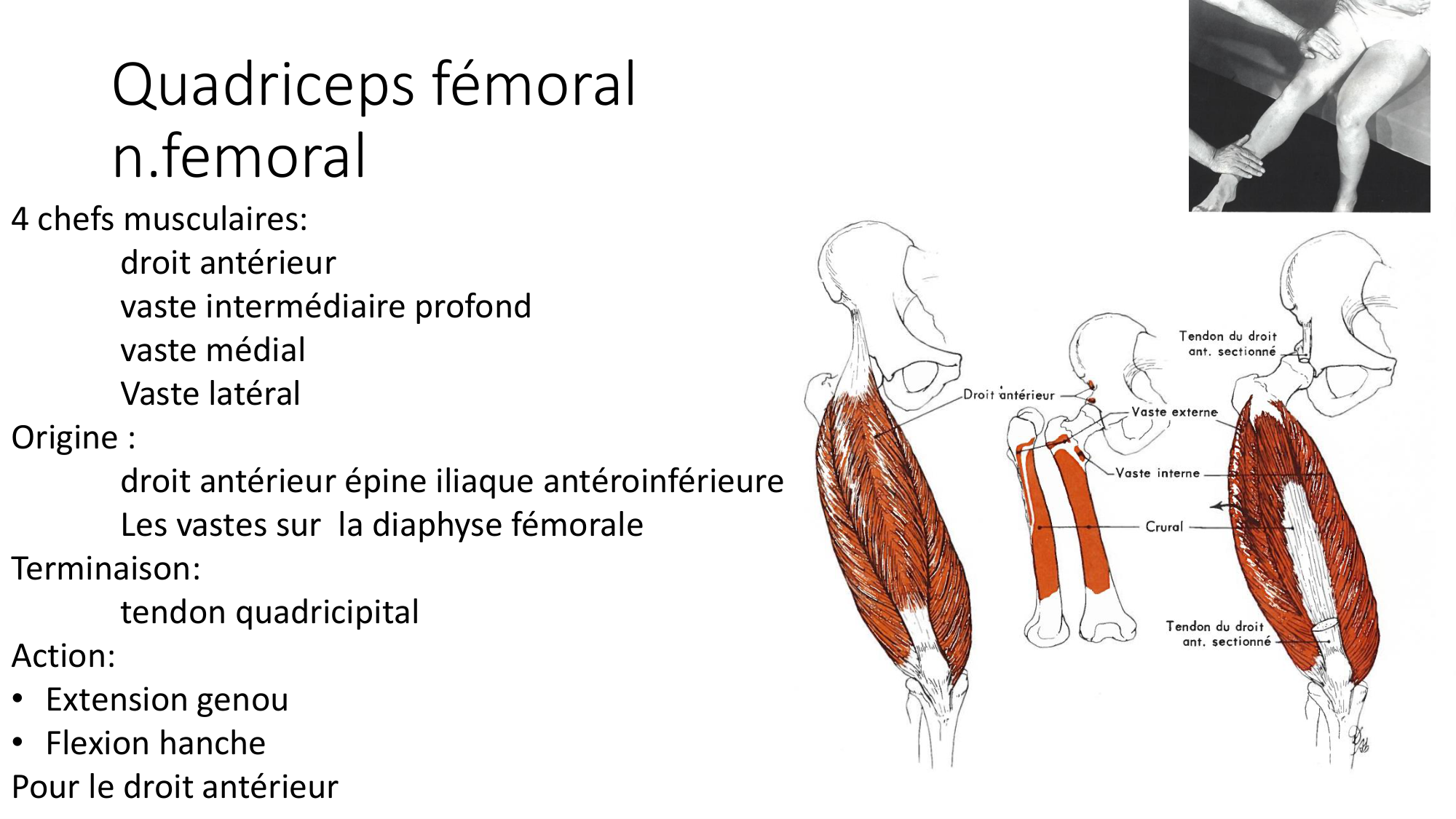 1 BA MI genou 2025-26 page 25