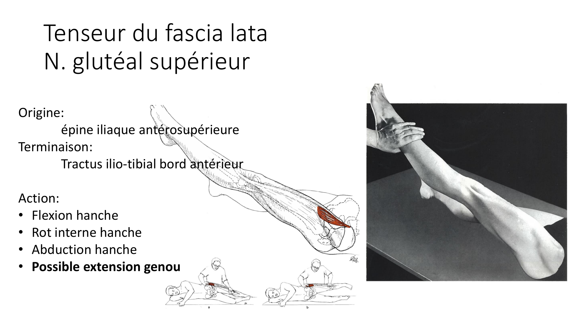 1 BA MI genou 2025-26 page 26