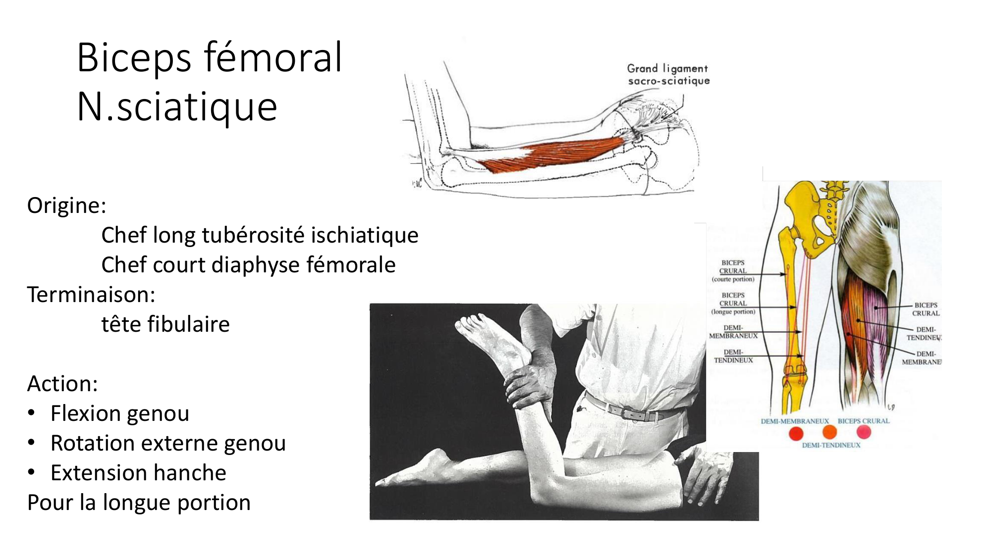 1 BA MI genou 2025-26 page 32
