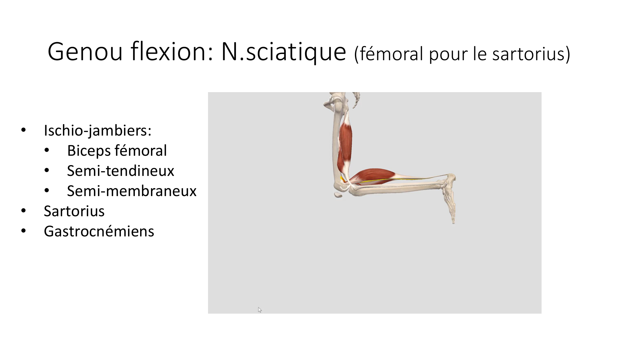 1 BA MI genou 2025-26 page 40