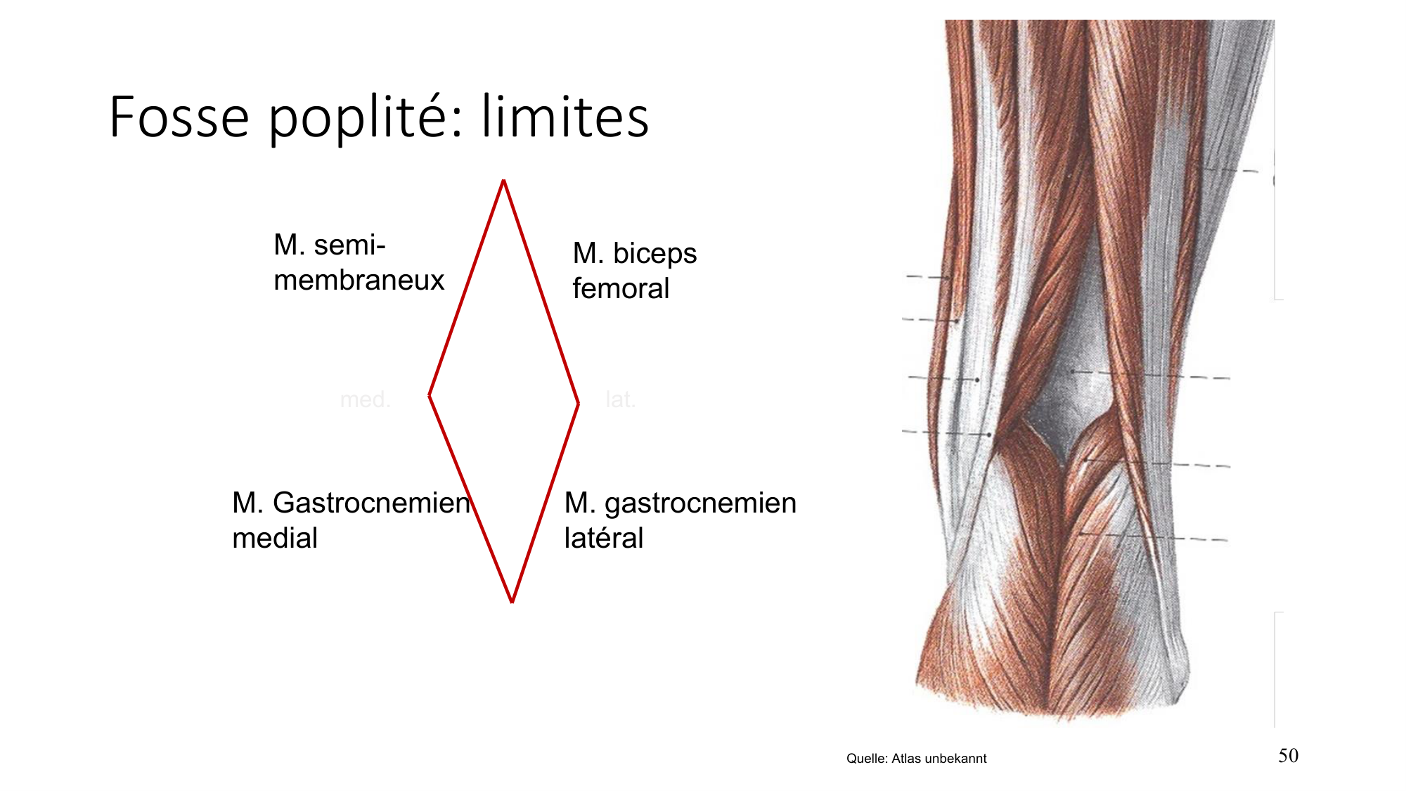 1 BA MI genou 2025-26 page 47