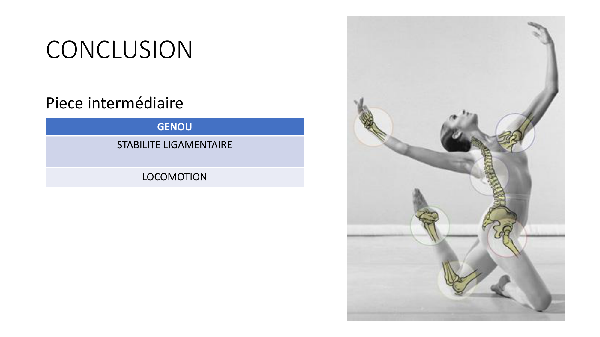 1 BA MI genou 2025-26 page 55