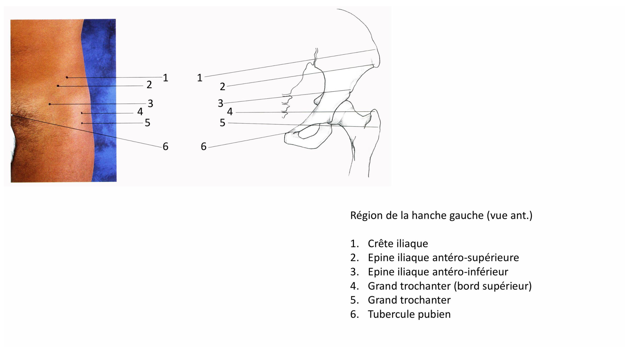1 BA MI hanche 2025-26 page 3