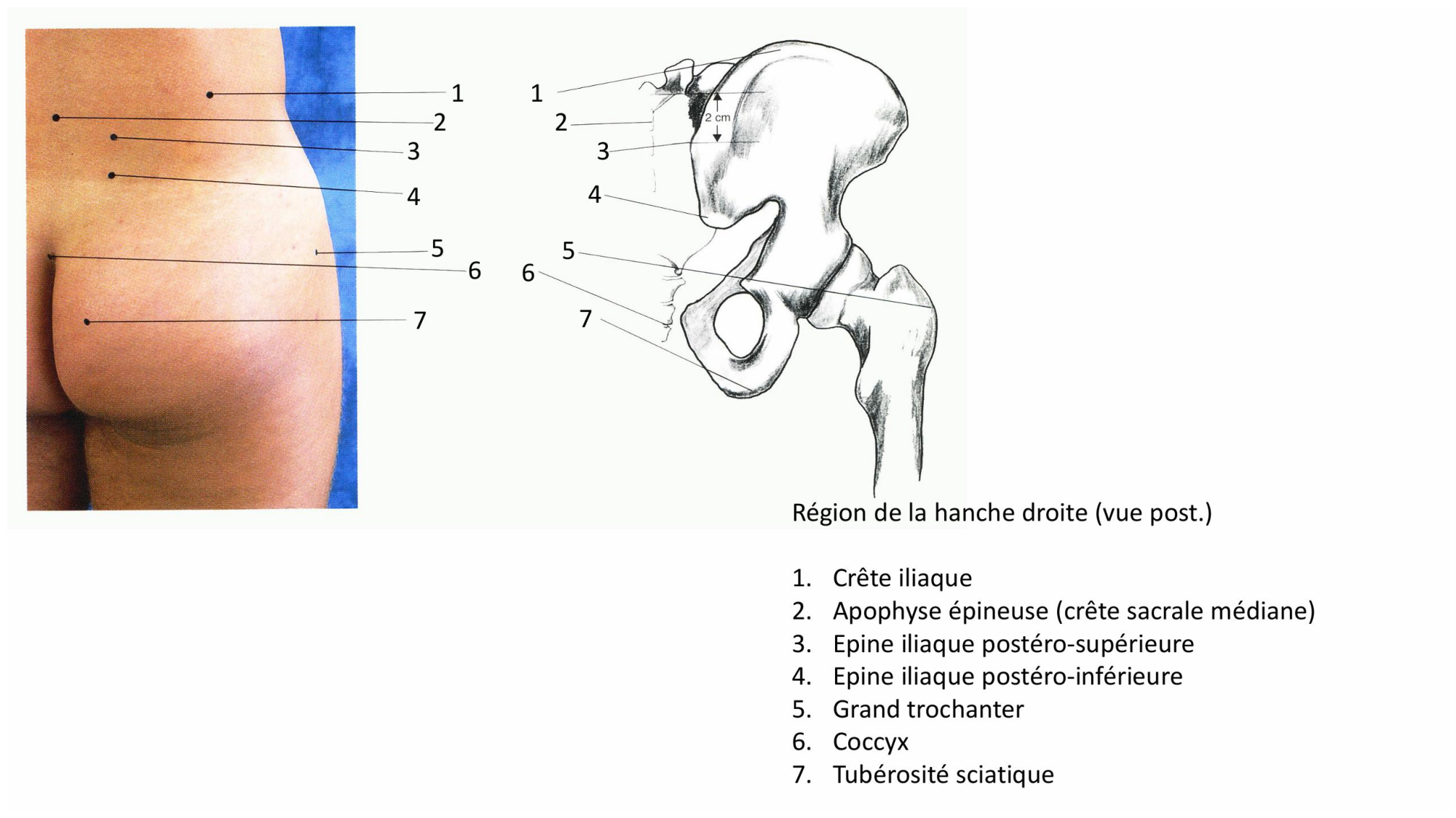 1 BA MI hanche 2025-26 page 4