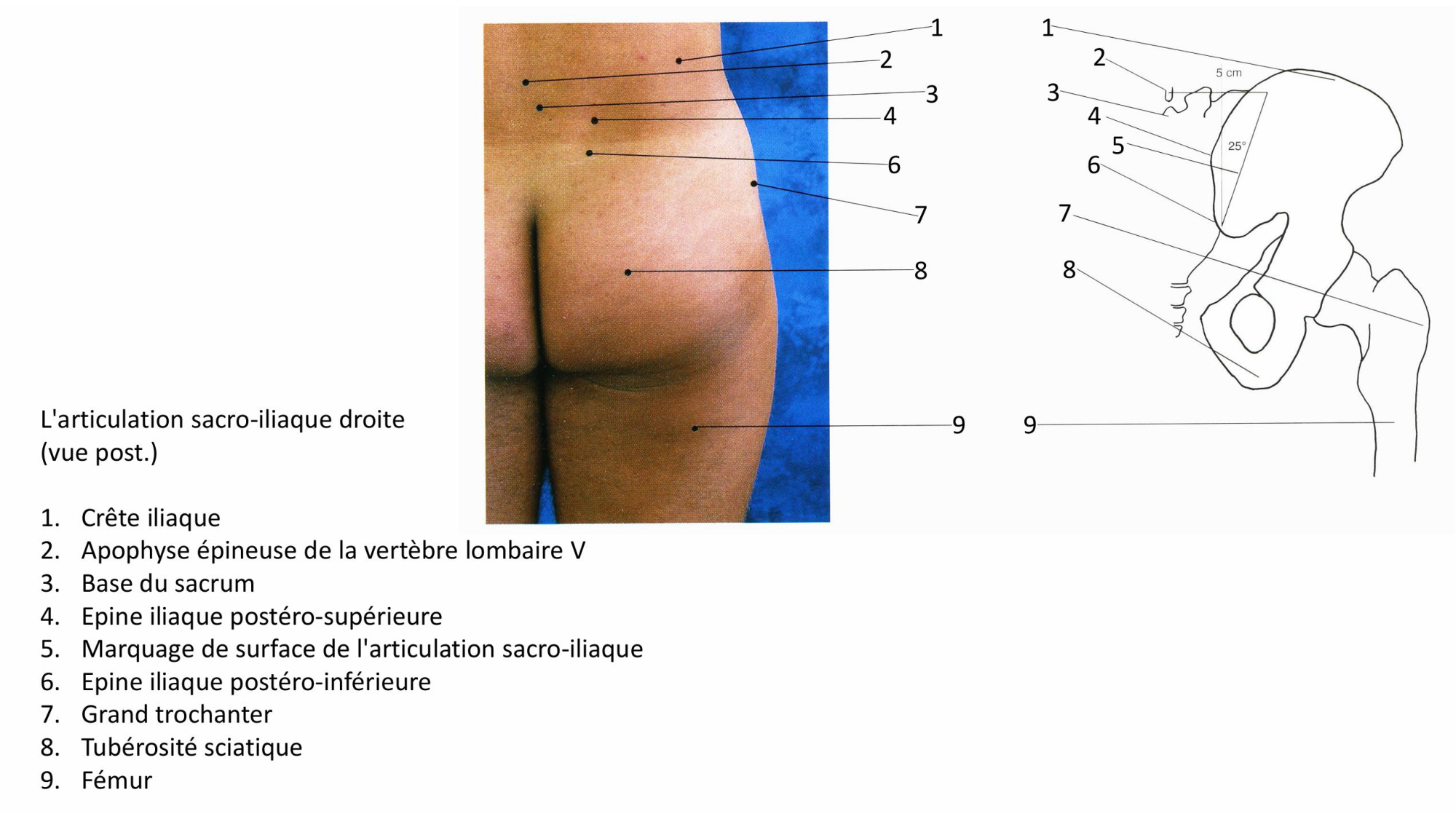 1 BA MI hanche 2025-26 page 5