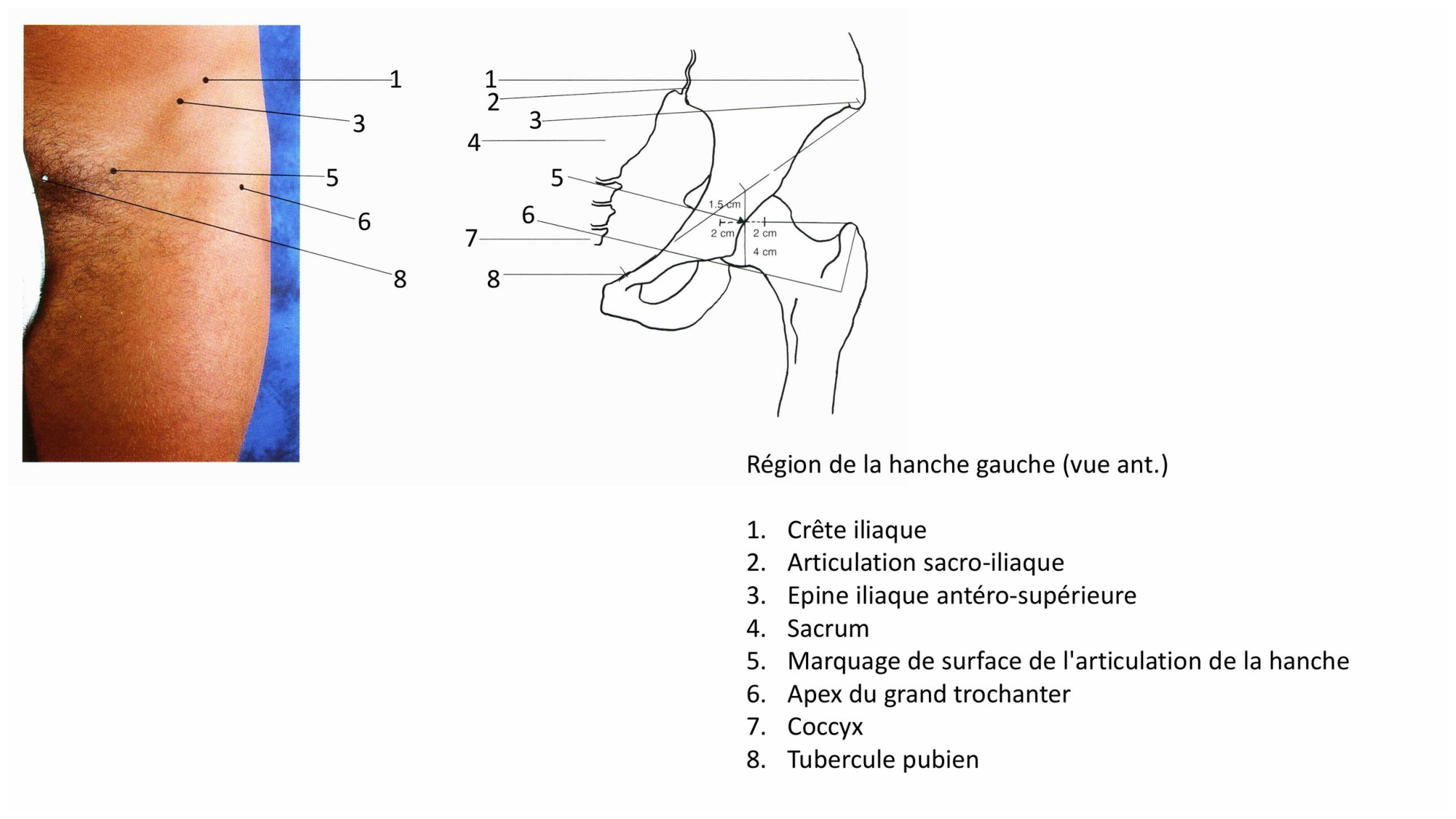 1 BA MI hanche 2025-26 page 6