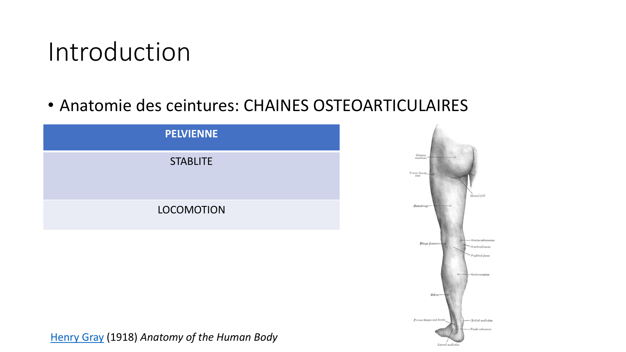 1 BA MI hanche 2025-26 page 8