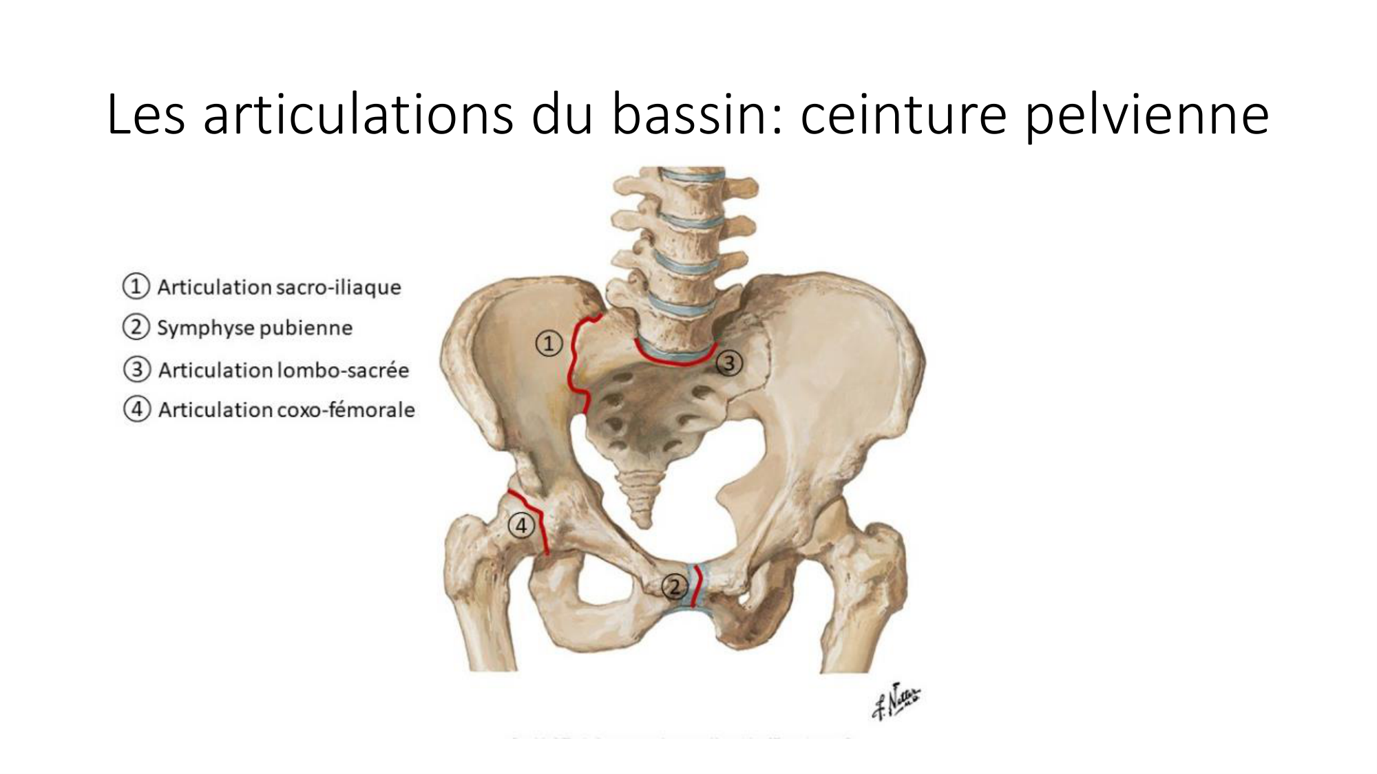1 BA MI hanche 2025-26 page 9