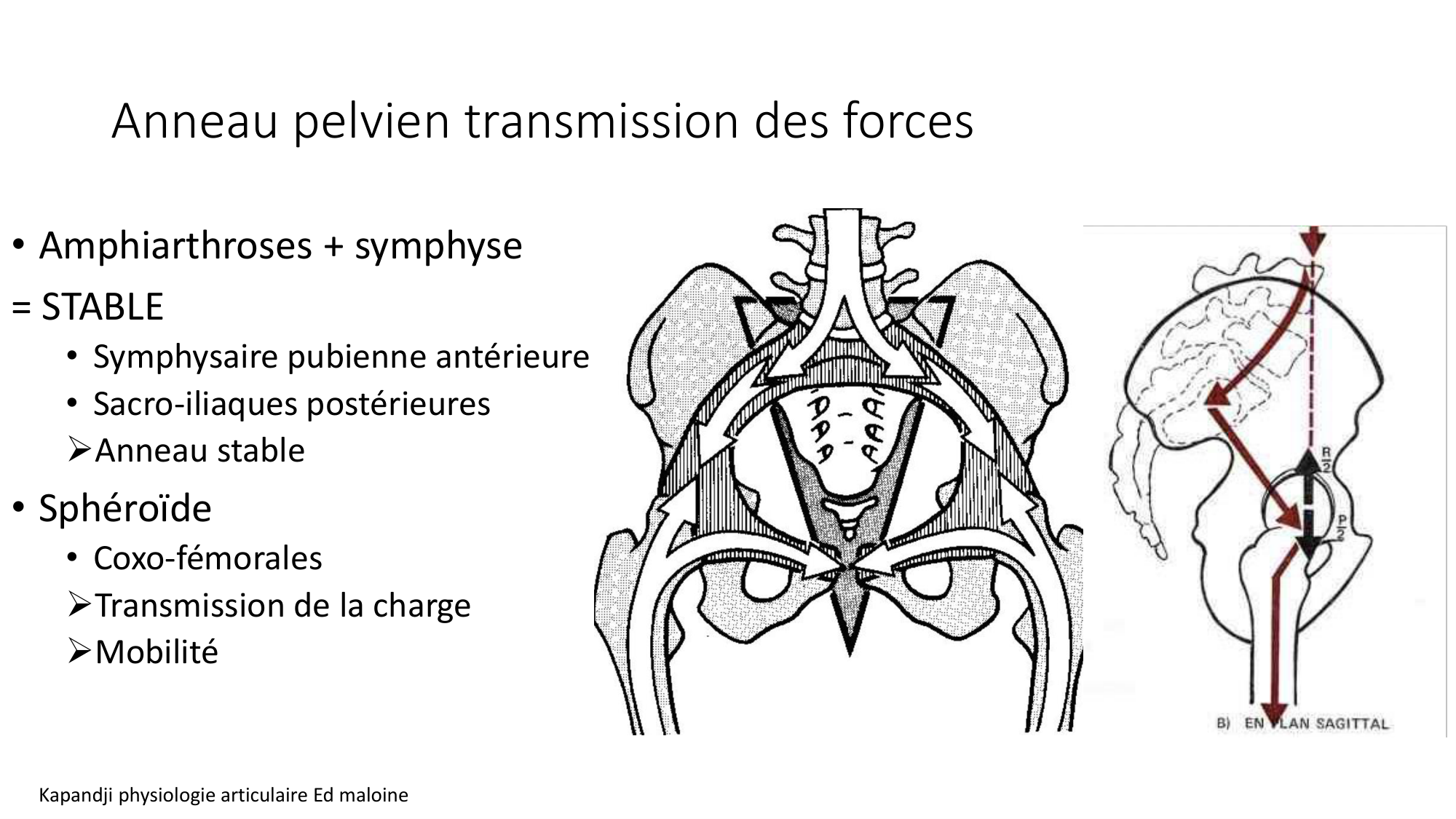 1 BA MI hanche 2025-26 page 10