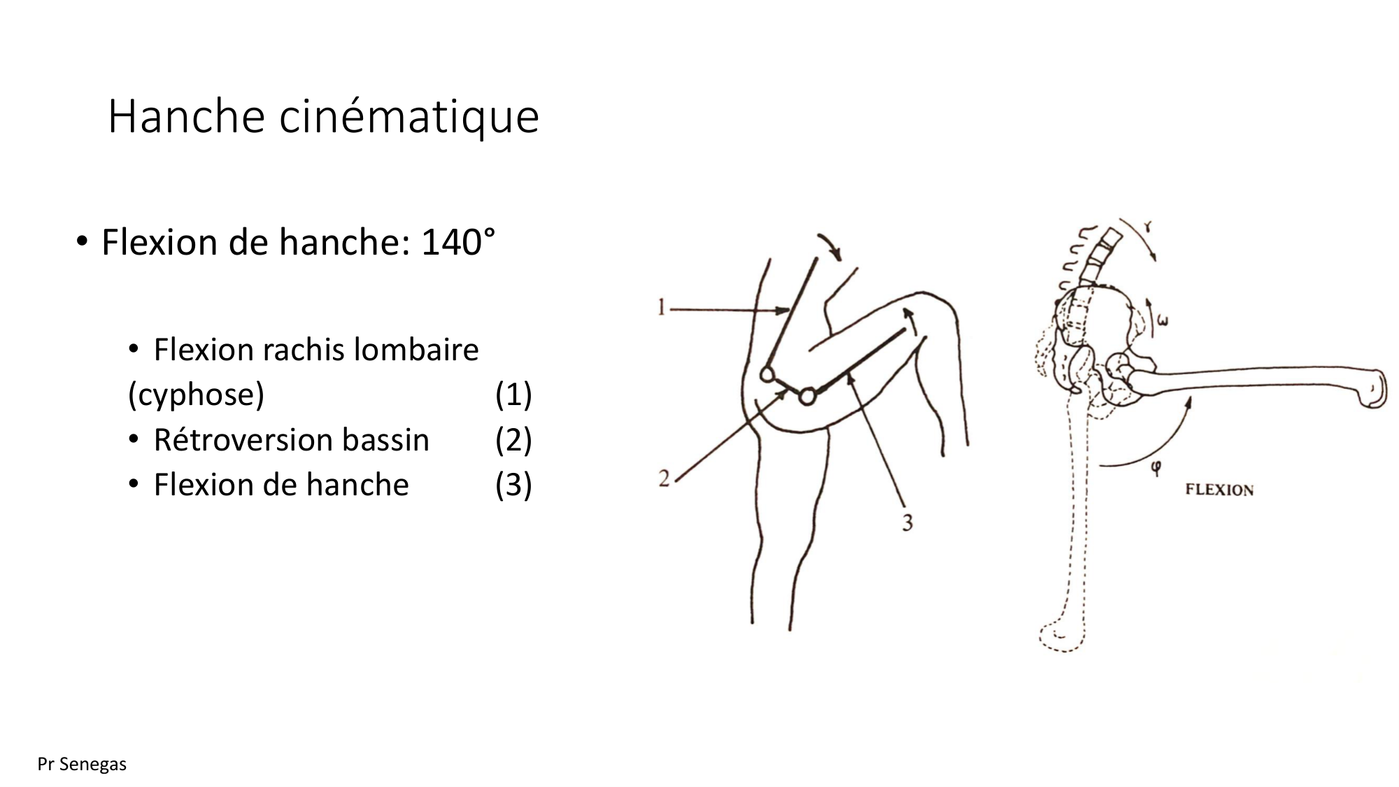 1 BA MI hanche 2025-26 page 15