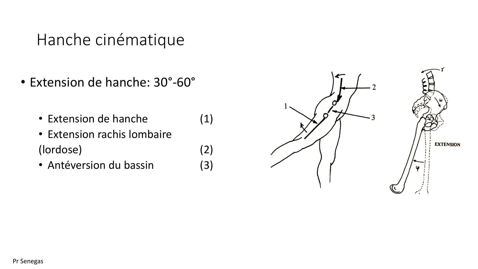 1 BA MI hanche 2025-26 page 16