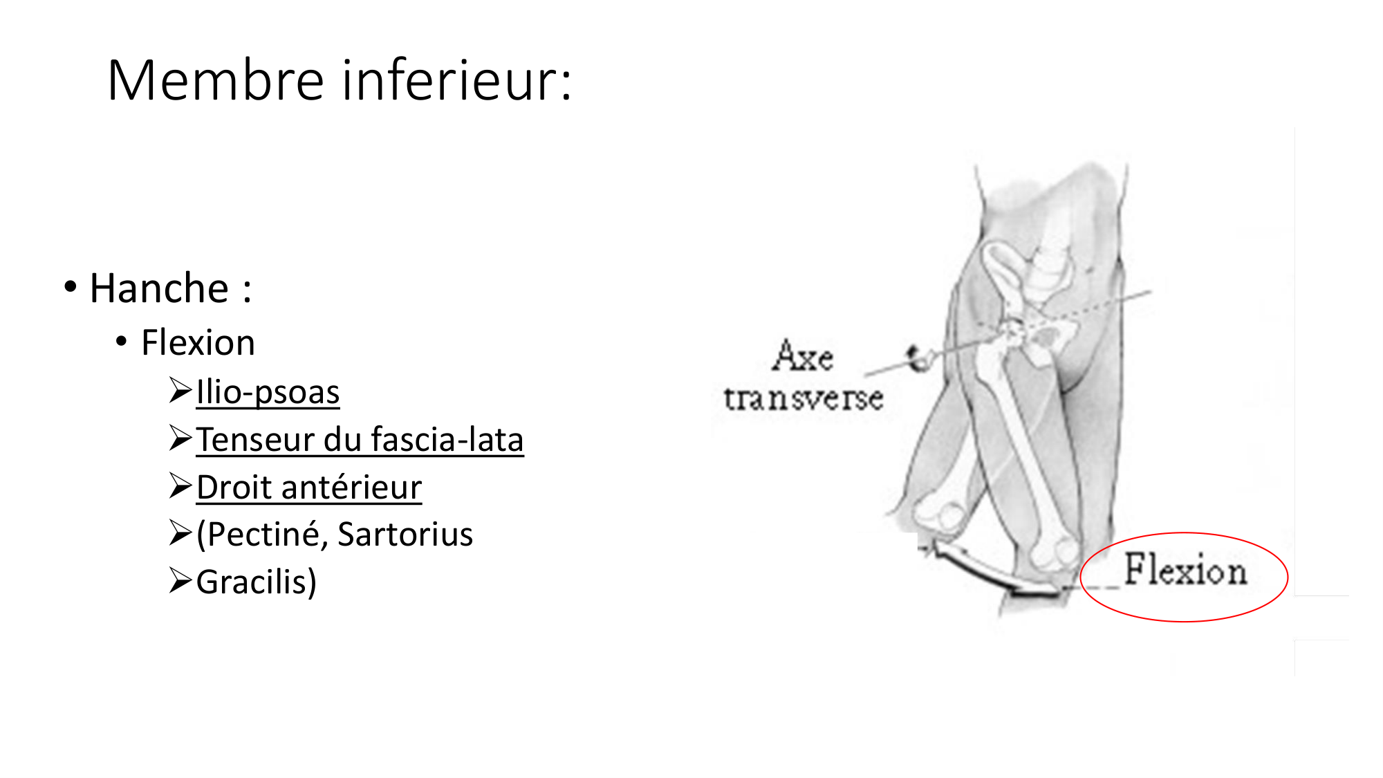 1 BA MI hanche 2025-26 page 19