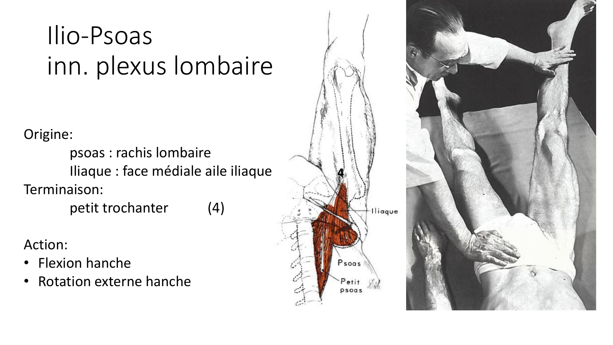 1 BA MI hanche 2025-26 page 21