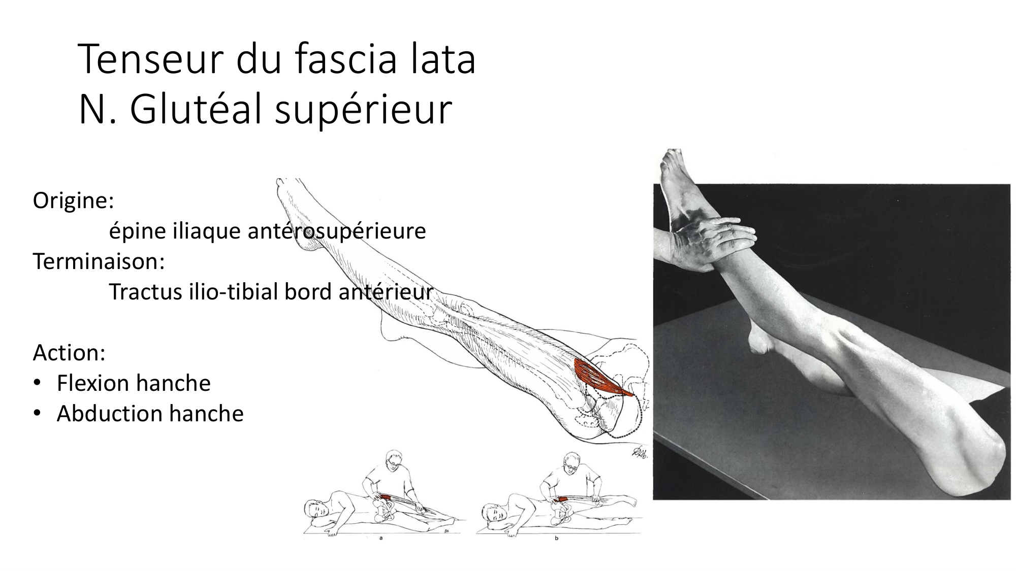 1 BA MI hanche 2025-26 page 22