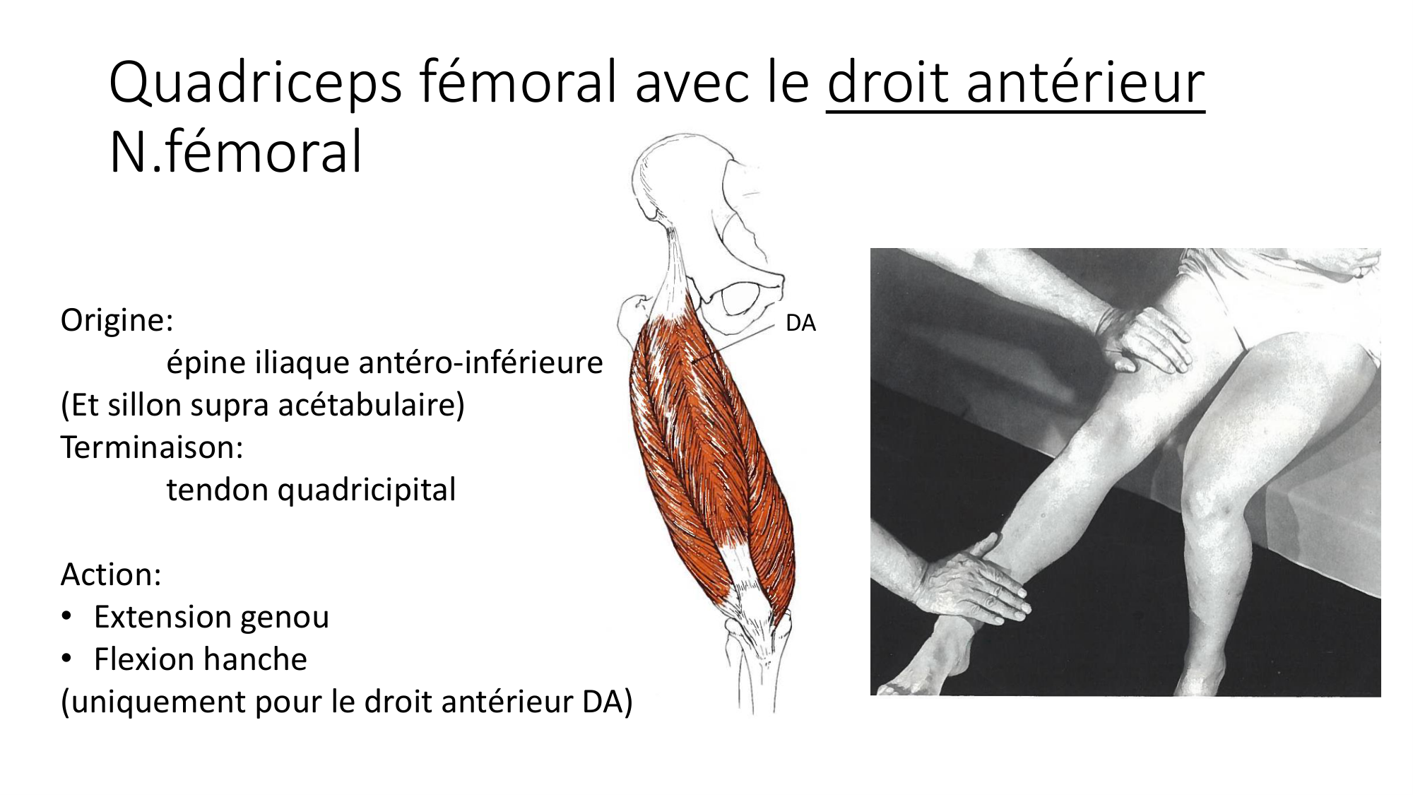 1 BA MI hanche 2025-26 page 23