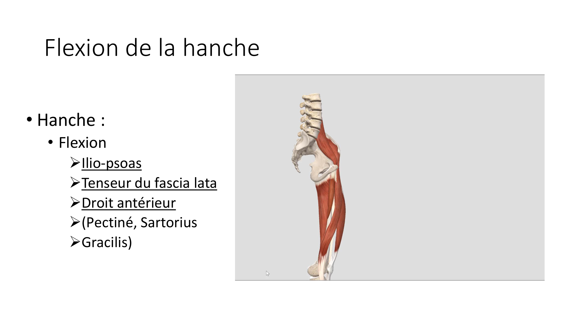1 BA MI hanche 2025-26 page 24