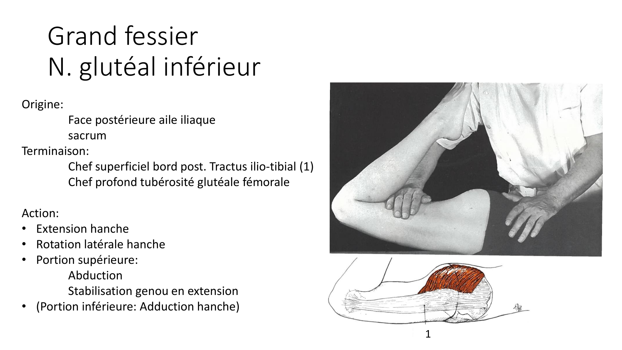 1 BA MI hanche 2025-26 page 26