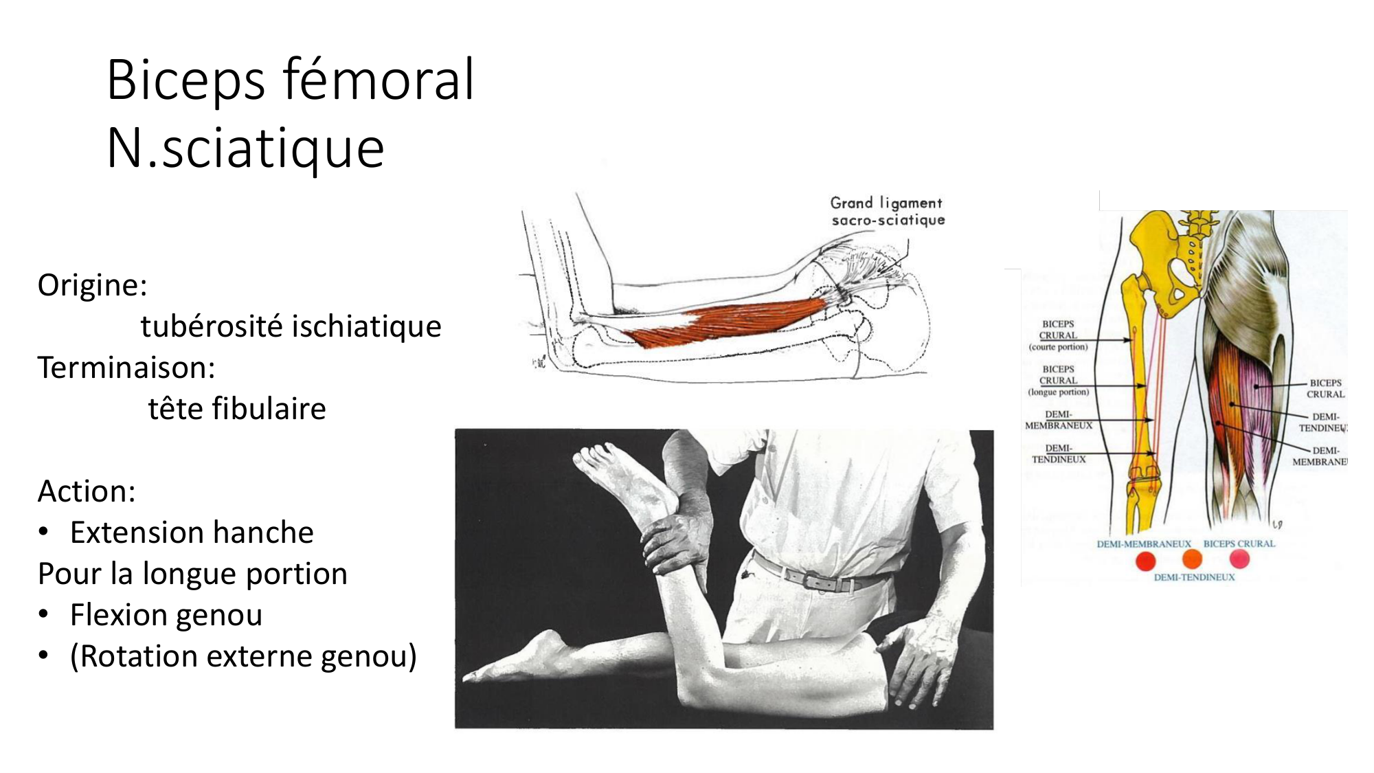1 BA MI hanche 2025-26 page 27